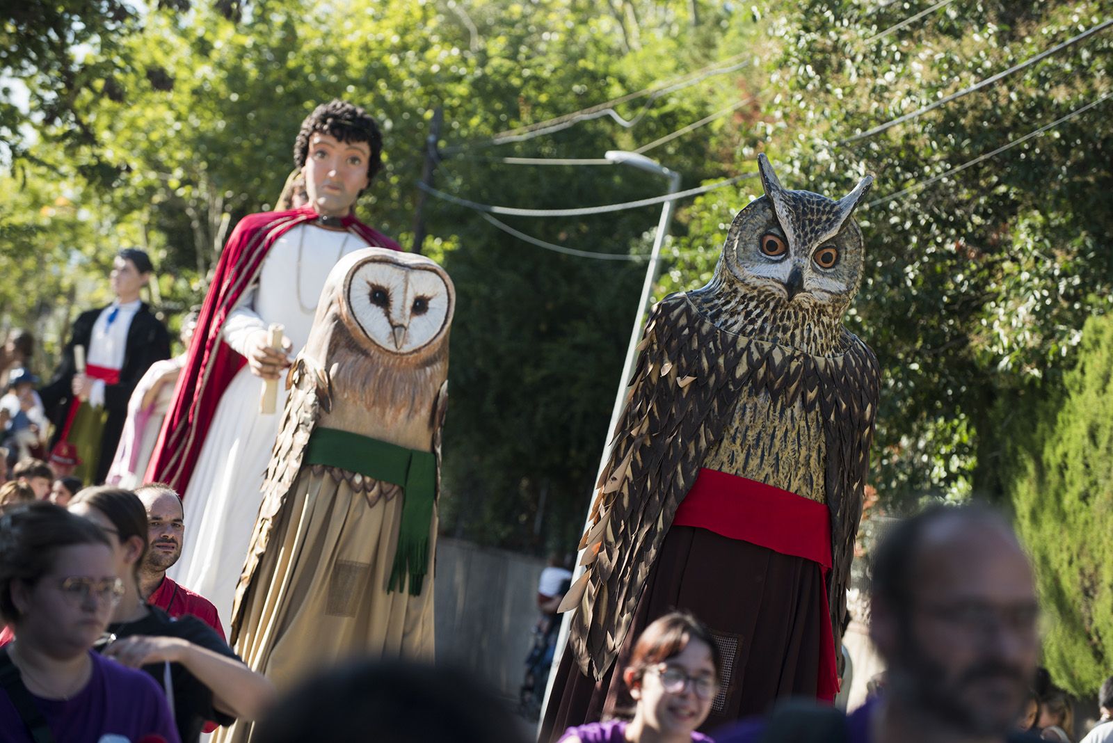 Rua dels Gegants a la Festa Major de Valldoreix. FOTO: Bernat Millet (TOT Sant Cugat)