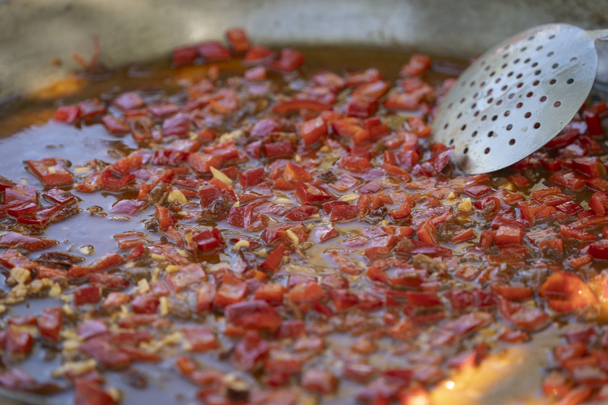 Concurs d'Arrossos de la Festa Major de Volpelleres. FOTO: Mireia Comas (TOT Sant Cugat)