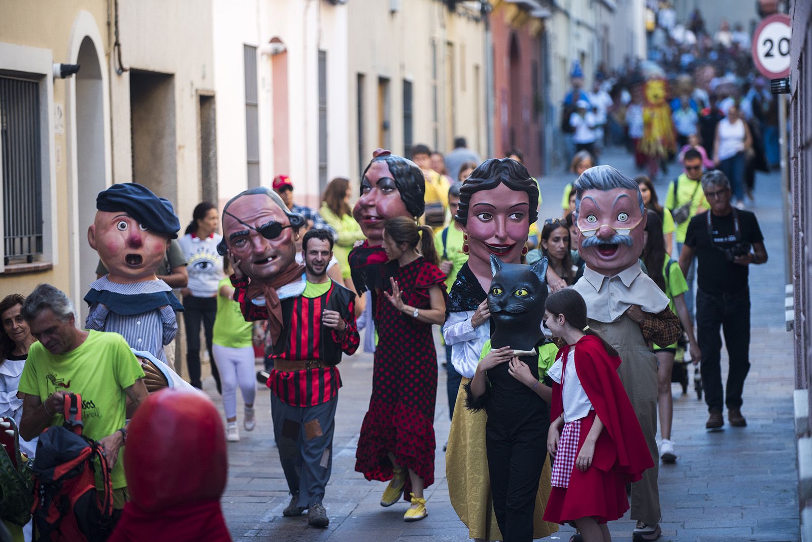 Cercavila de la Diada de Testes. FOTO: Bernat Millet.