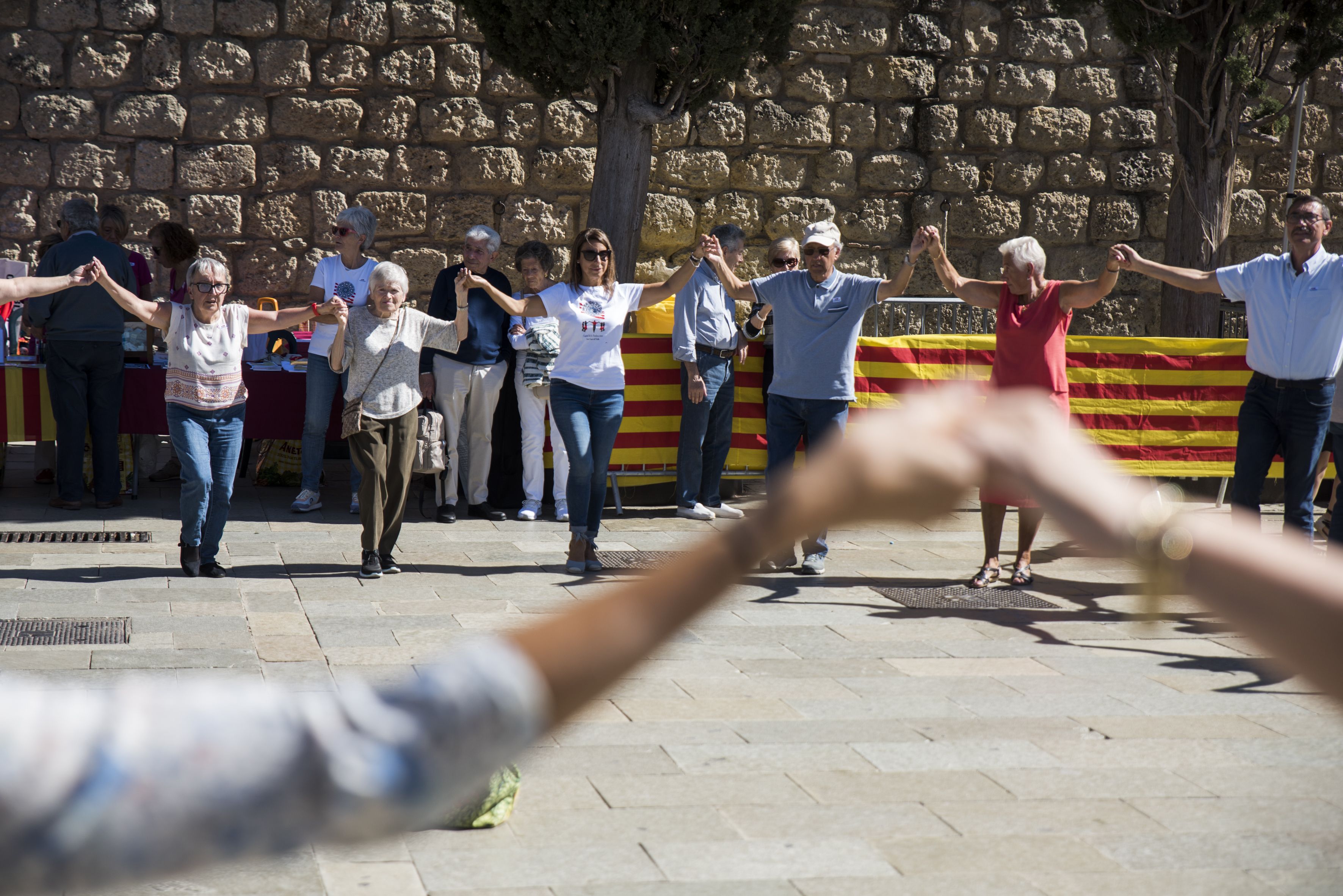 49a edició de l'Aplec de la Sardana FOTO: Bernat Millet (TOT Sant Cugat)