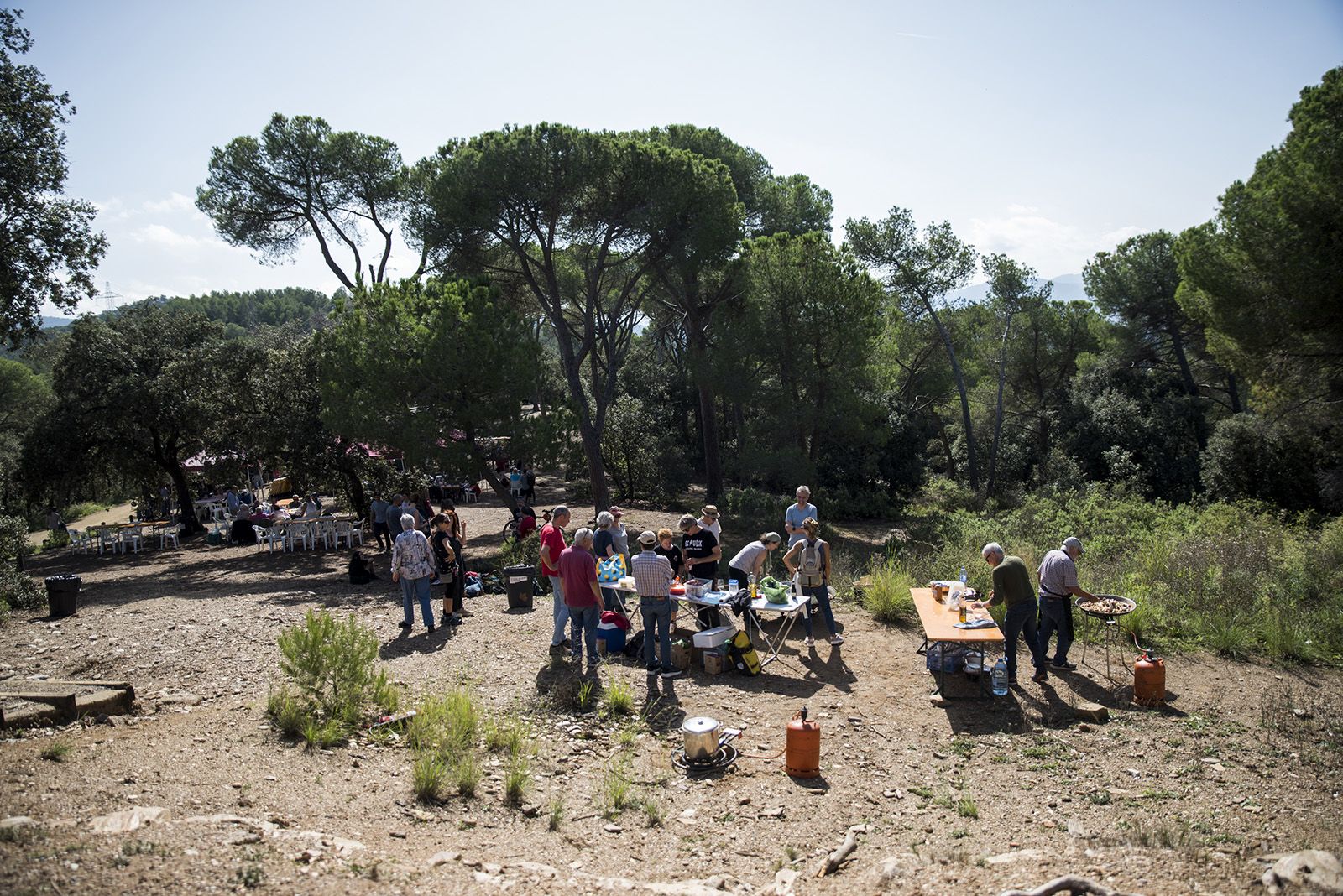 L'Aplec de la salut. FOTO: Bernat Millet.