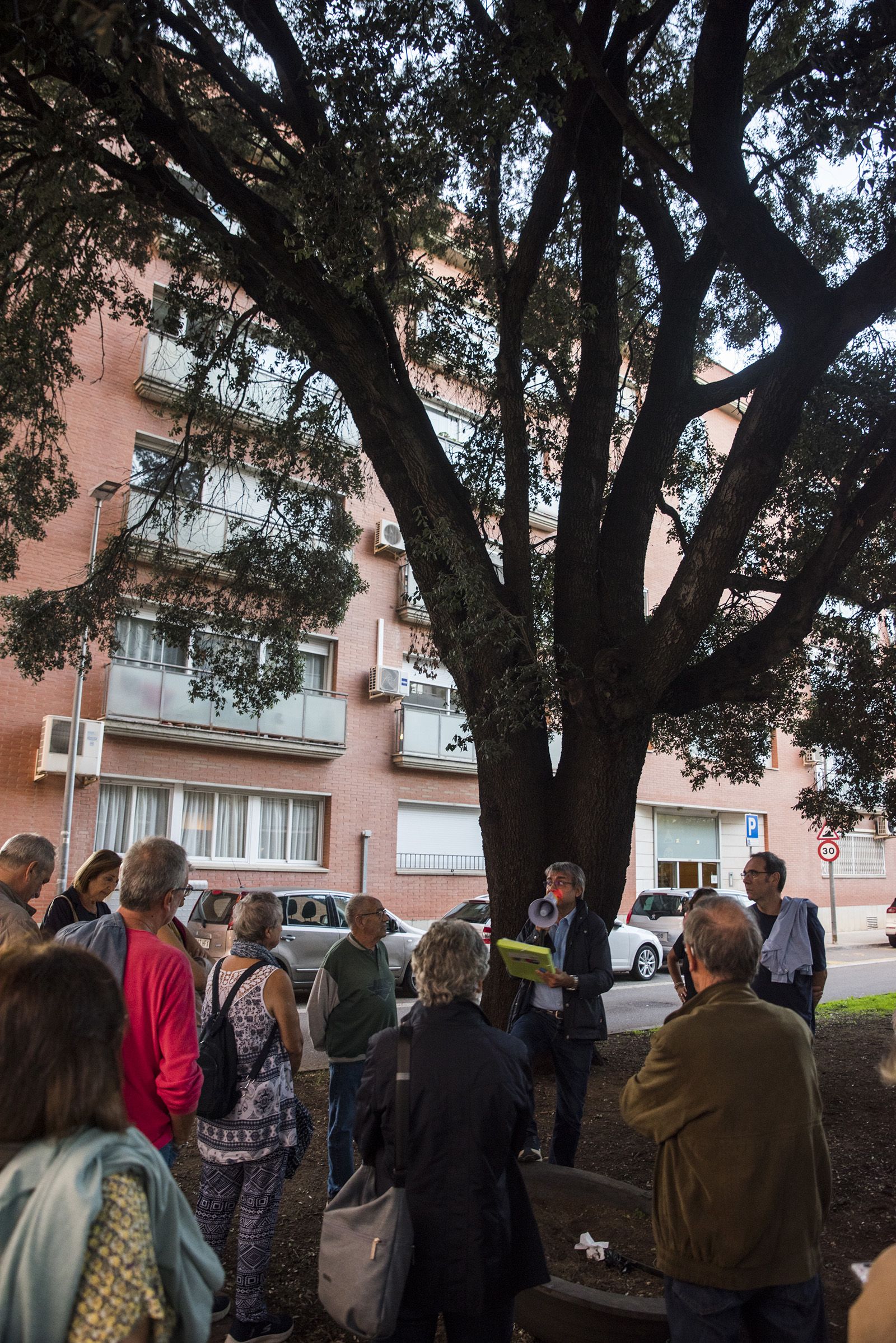 Visita guiada als arbres de Sant Cugat. FOTO: Bernat Millet.