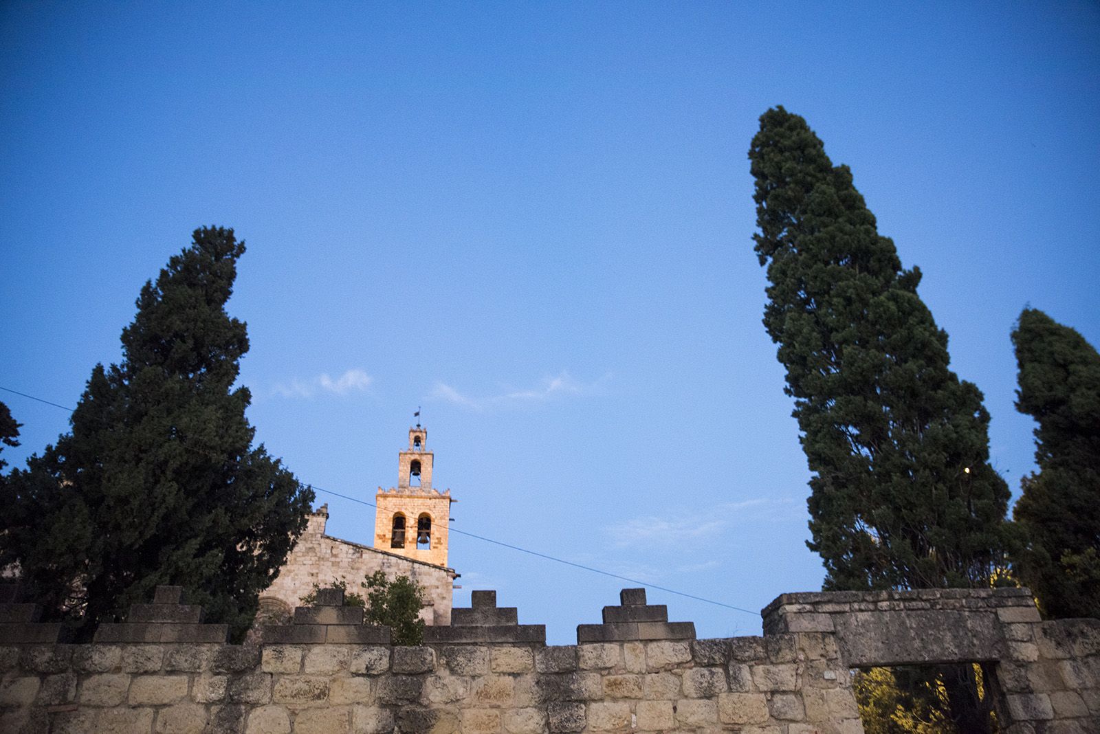 Visita guiada als arbres de Sant Cugat. FOTO: Bernat Millet.