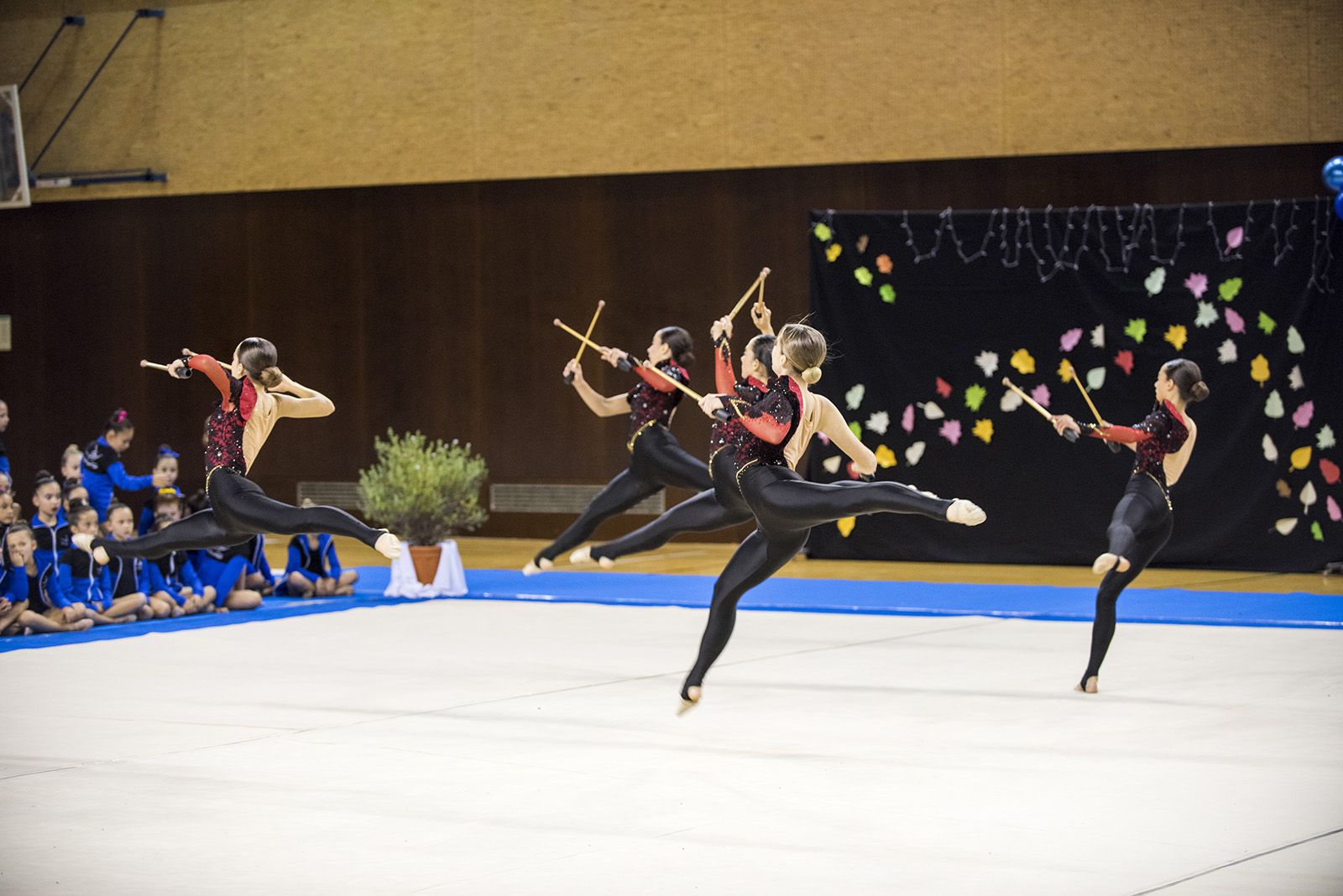 Presentació d'equips del Club Gimnàstica Rítmica i Estètica Sant Cugat. FOTO: Bernat Millet (TOT Sant Cugat)