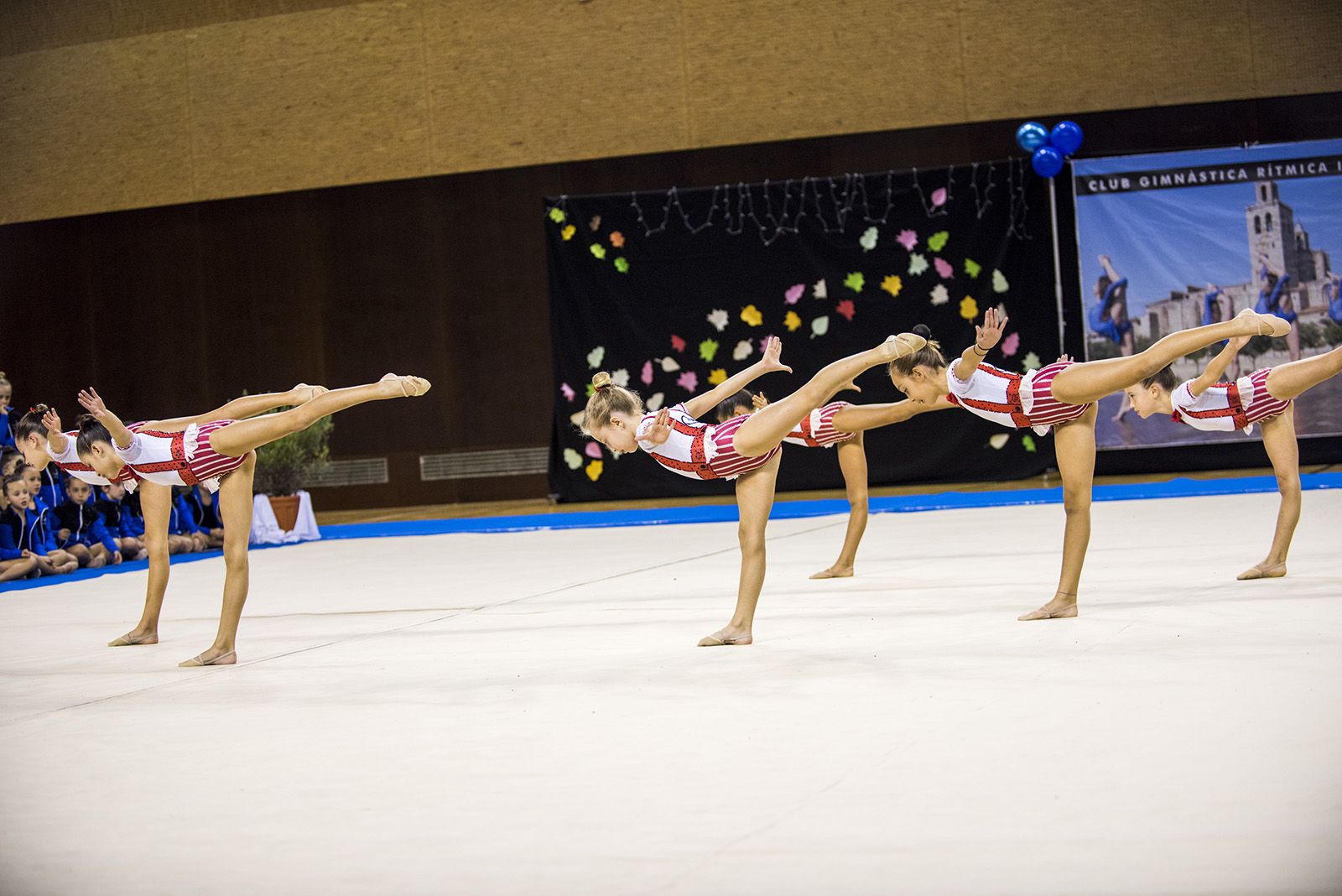 Presentació d'equips del Club Gimnàstica Rítmica i Estètica Sant Cugat. FOTO: Bernat Millet (TOT Sant Cugat)