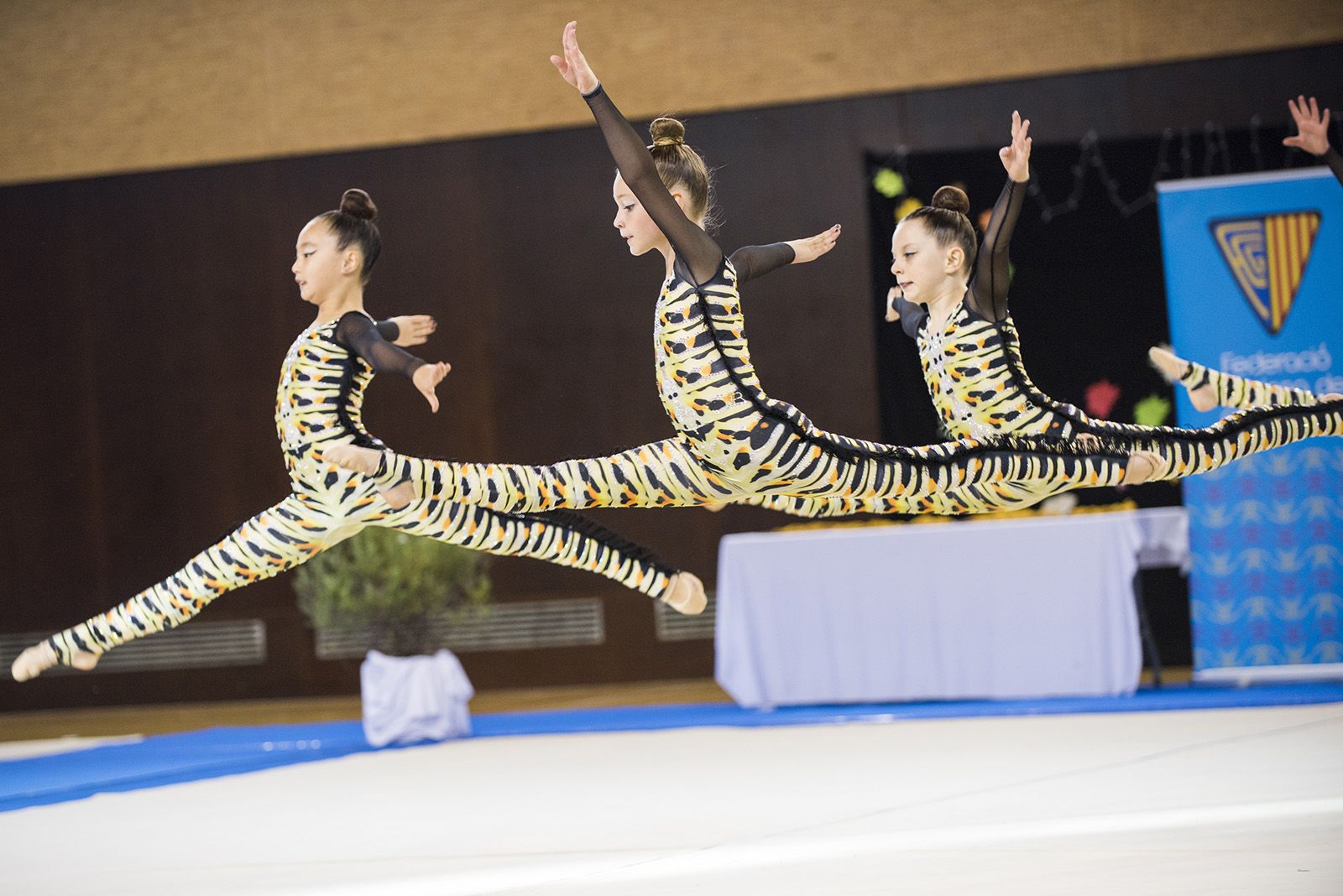 Campionat de Catalunya d'estètica de grup. FOTO: Bernat Millet.