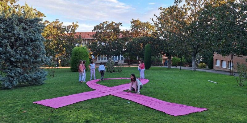 Llaç rosa de l'escola La Vall amb motiu del càncer de mama. FOTO: Cedida