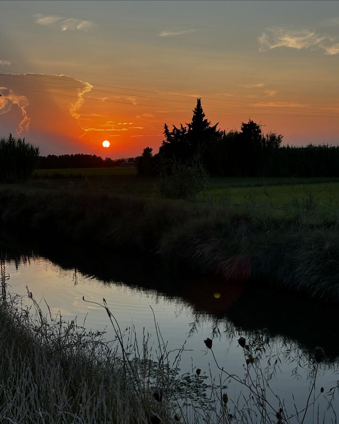 Tardes d'estiu FOTO: criscasti59