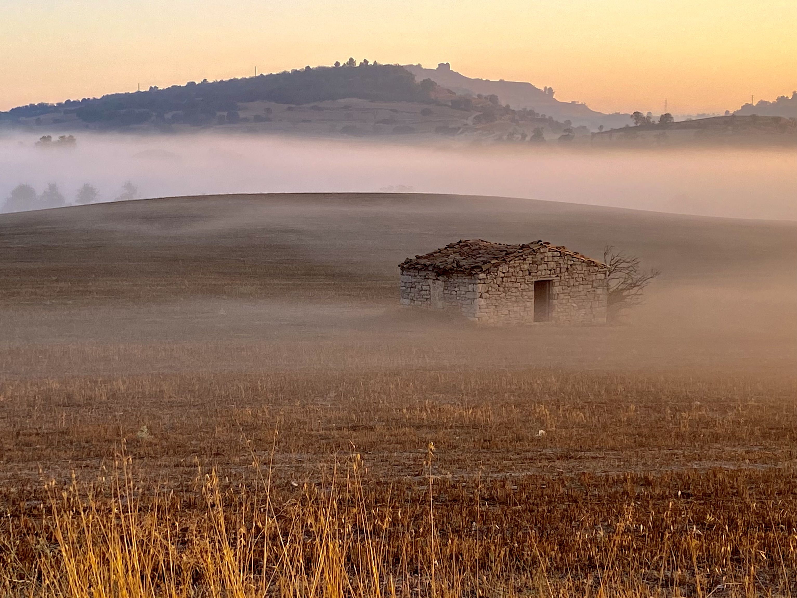 Boires matinals · Sant Marti Sesgueioles FOTO: Elisabet Capdevila Tomàs