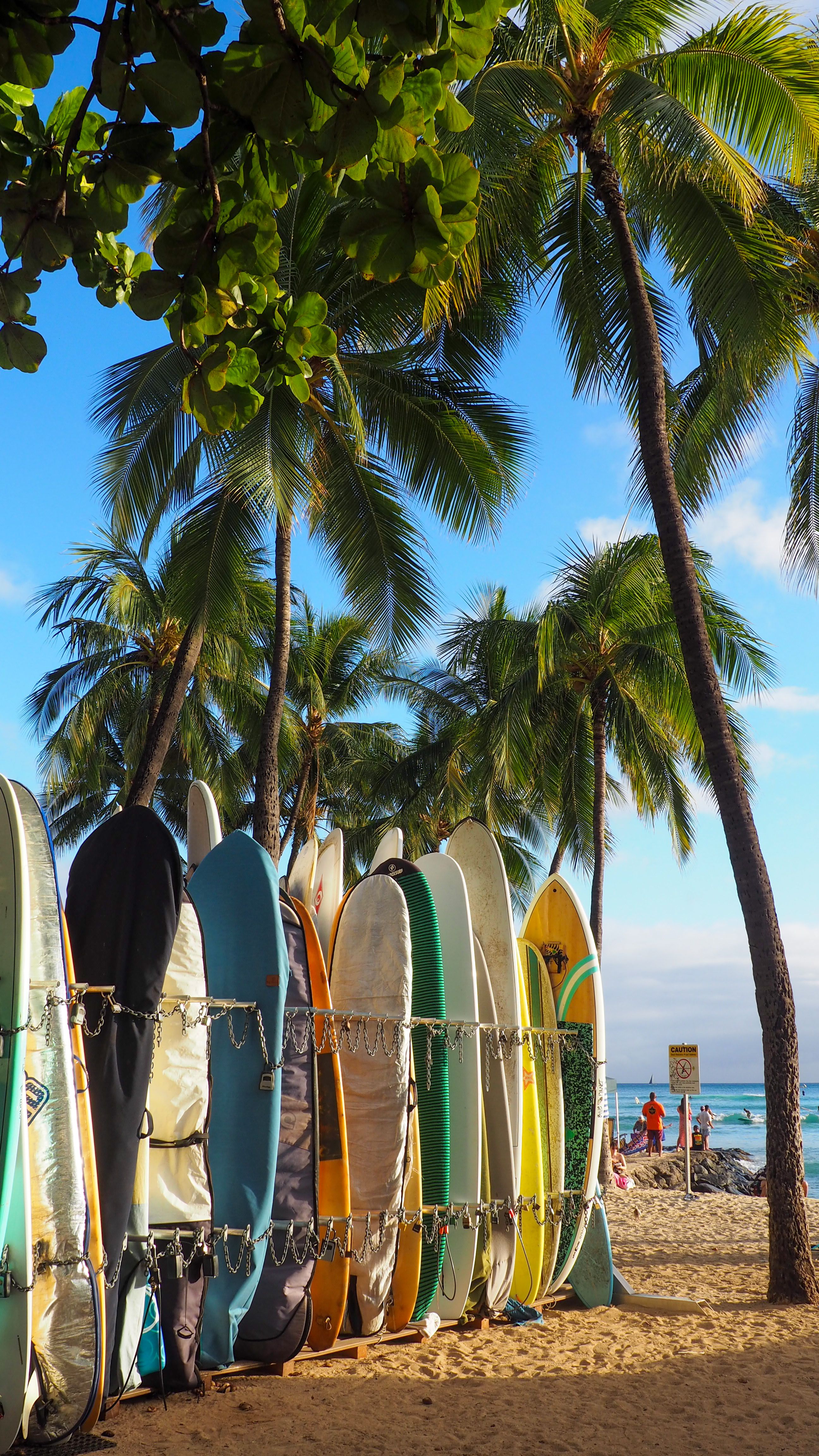 Surf a Waikiki  · Hawaii FOTO: Josep Roselló Navarro 