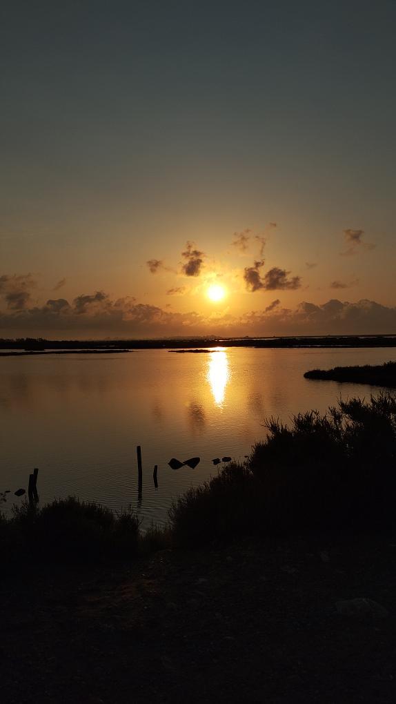 Resplendors del Delta · Parc Natural del Delta de l&#39;Ebre FOTO: Marc Capel López 