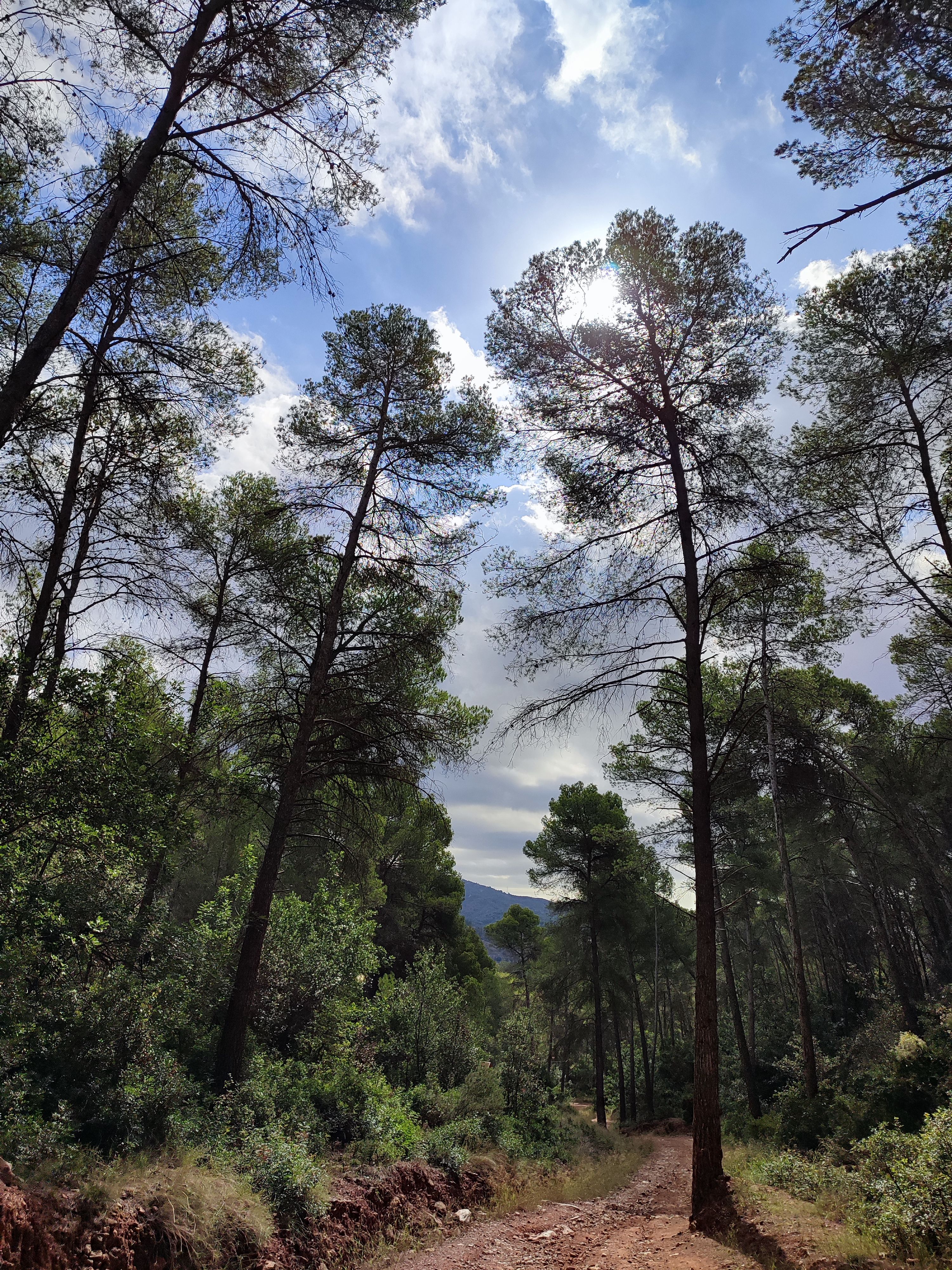 Nubosidad variable · Gorg de la Mola, Sant Andreu de la Barca FOTO: Rocío Lozano Jurado