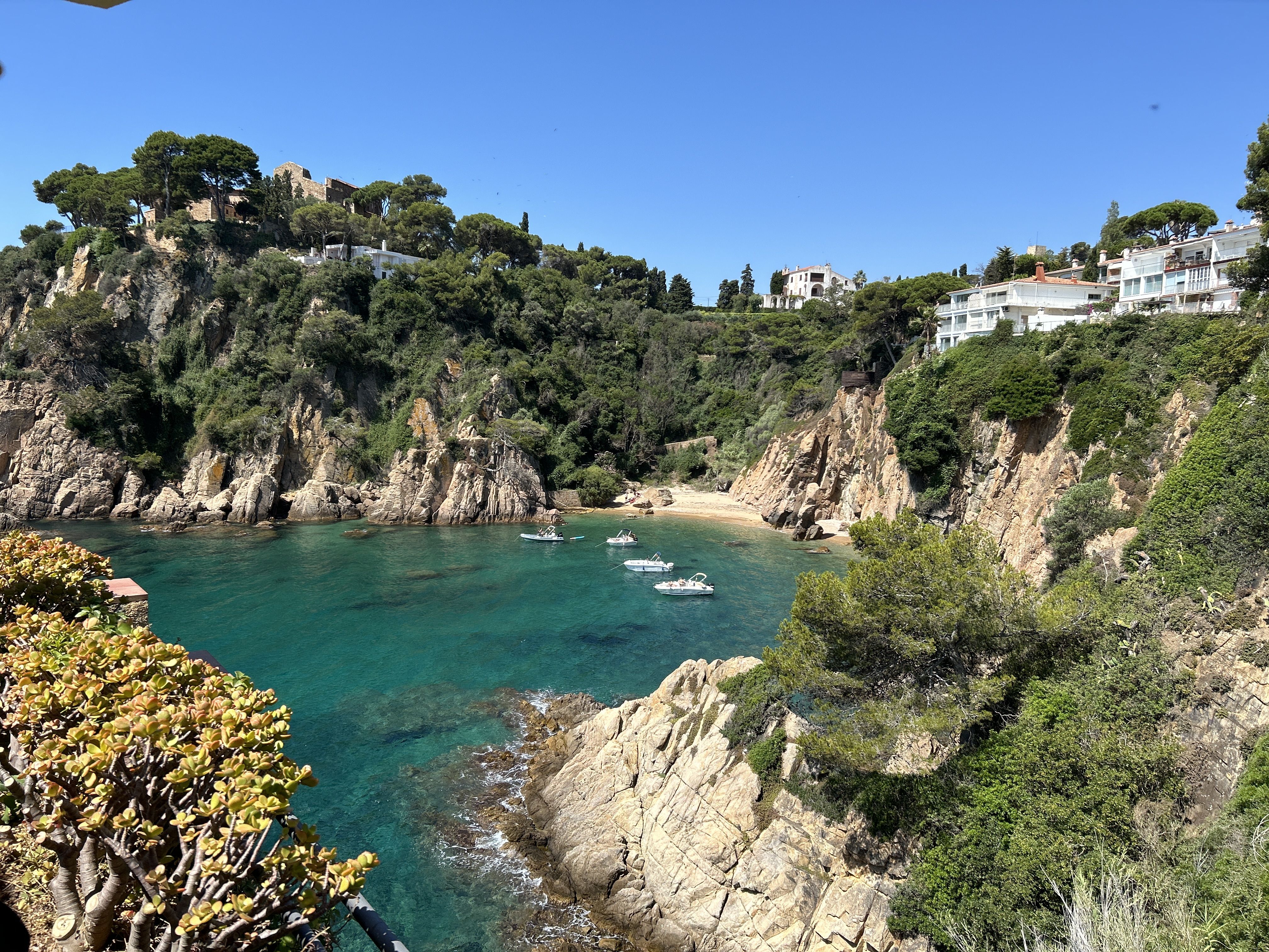 Cala d’estiu · Blanes FOTO: Jaume Palau Magriña