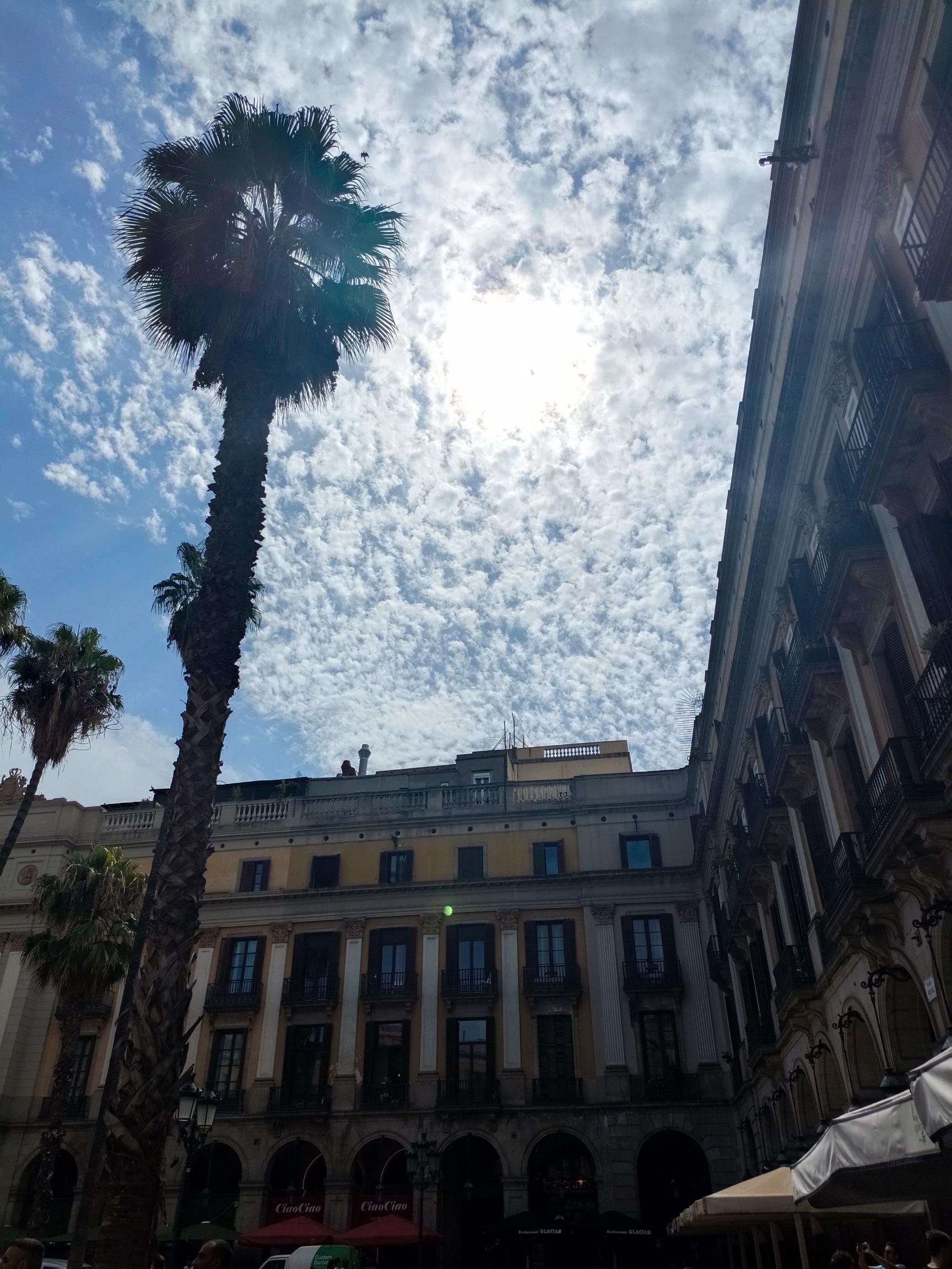 Palmera i nubes Plaça Reial · Plaça Reial Barcelona FOTO: Borja Morato de Rojas