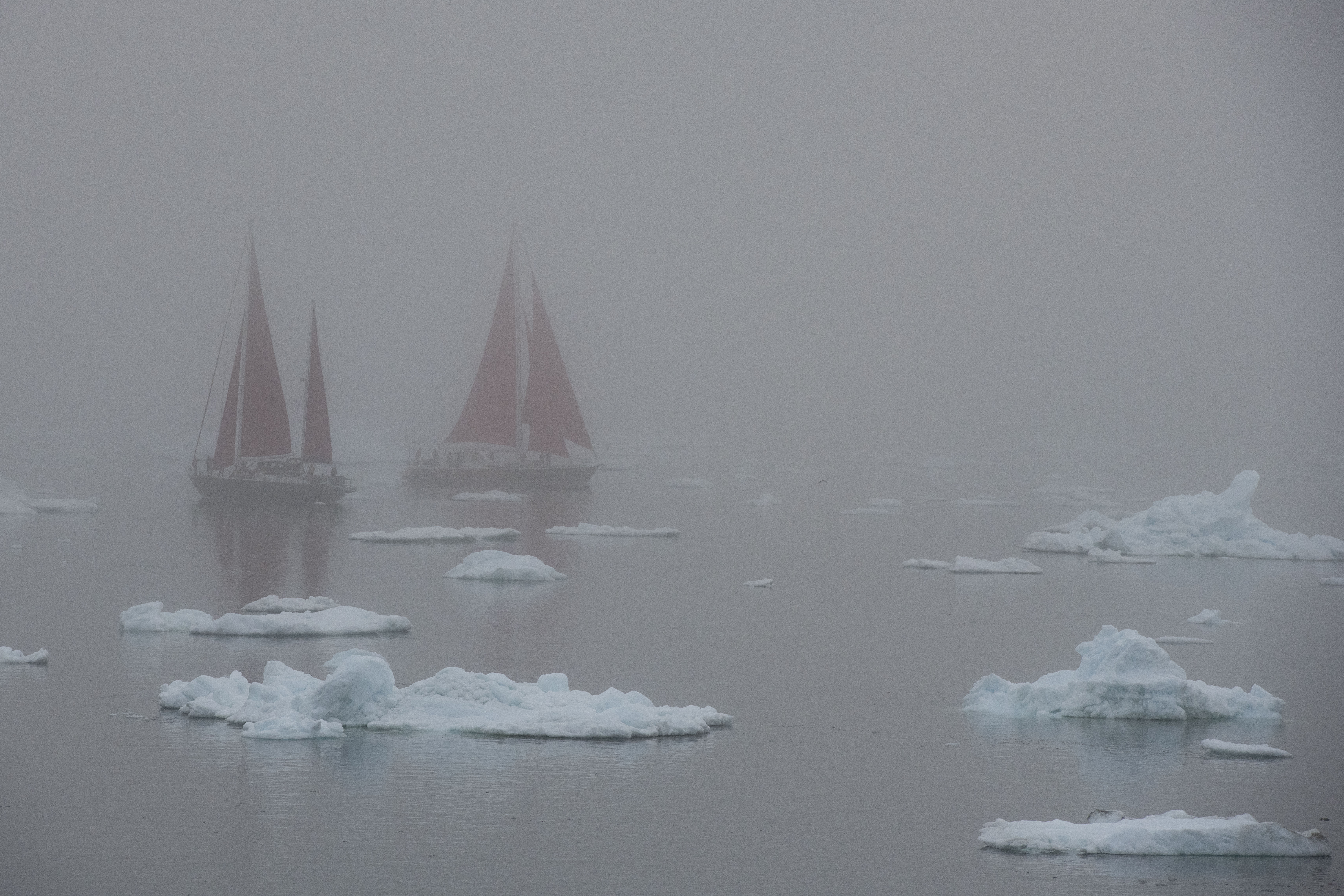 Colors de l´àrtic · Ilulissat, Greenland FOTO: Marc Jansà Pérez