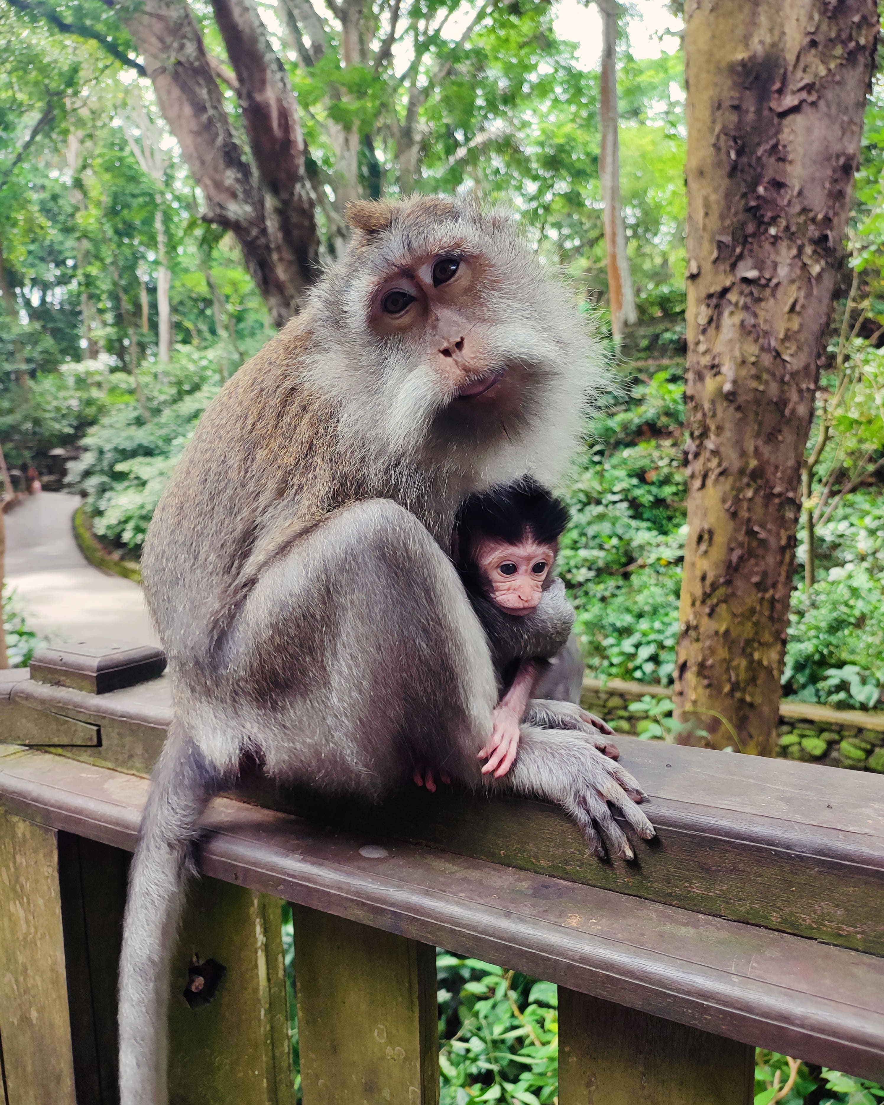 Mare incondicional · Ubud (Bali) FOTO: Jana Foraster