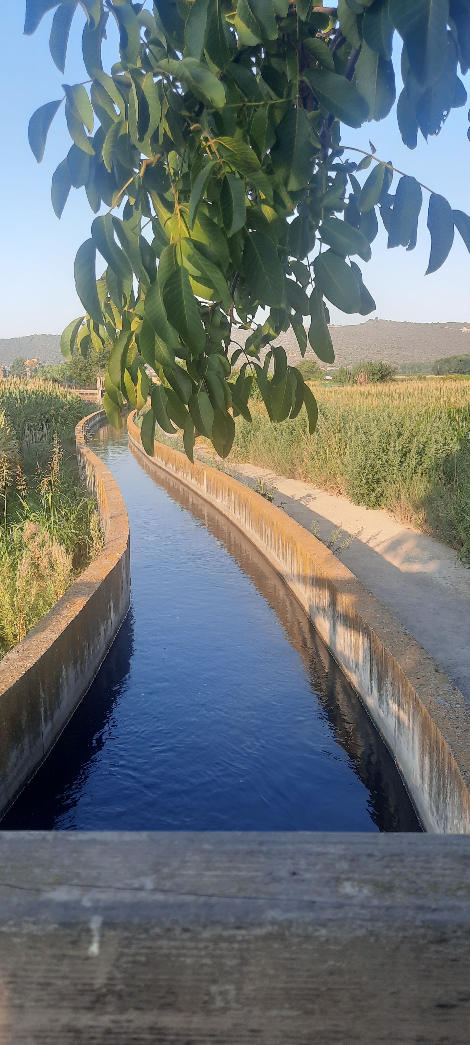 Camí d'aigua · Ponts, Lleida FOTO: Eugènia Barrera Barba