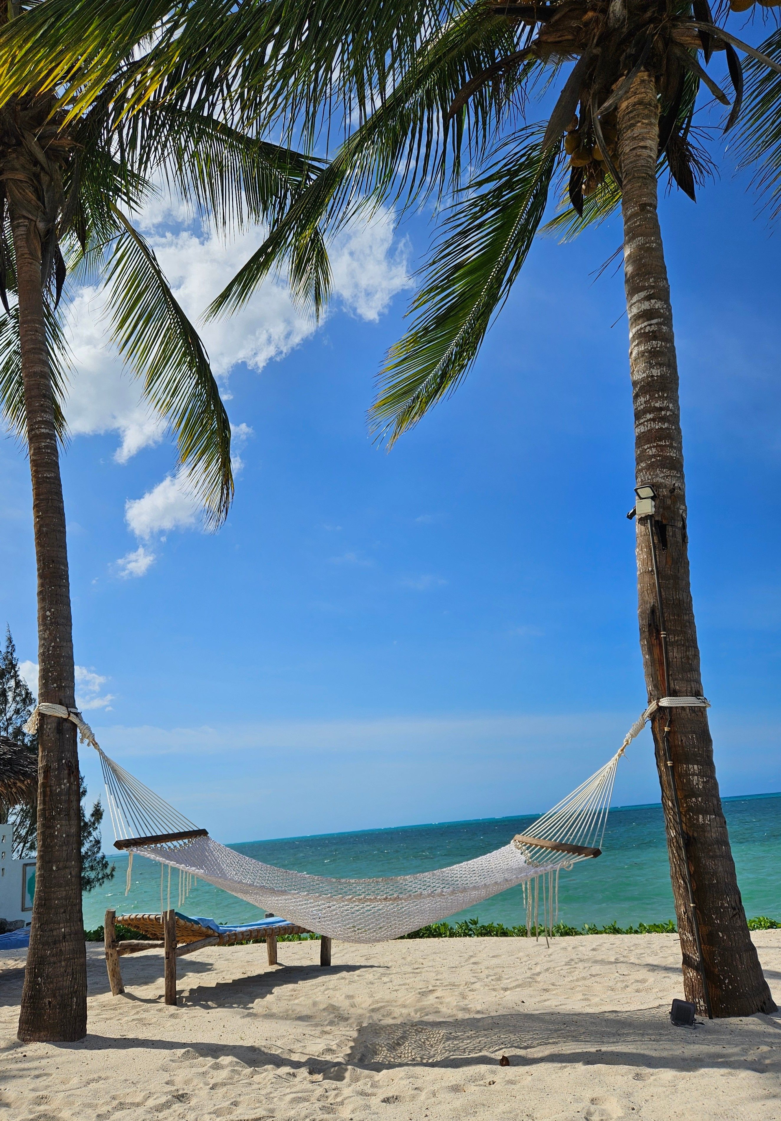 Relax on Zanzibar · Zanzibar FOTO: Marc Comellas