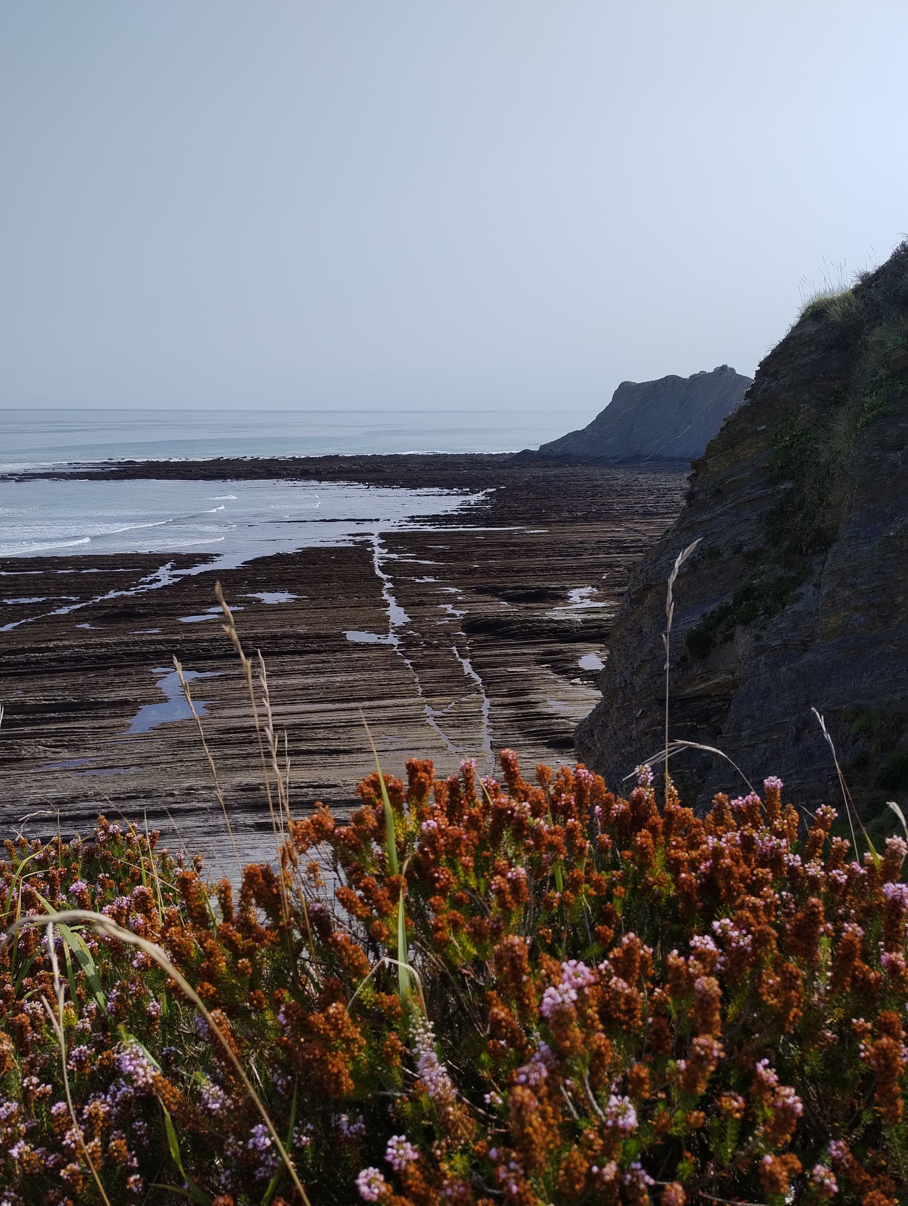 Flysch Zumaia Deba · Zumaia FOTO: Jordi Minguella Blasco