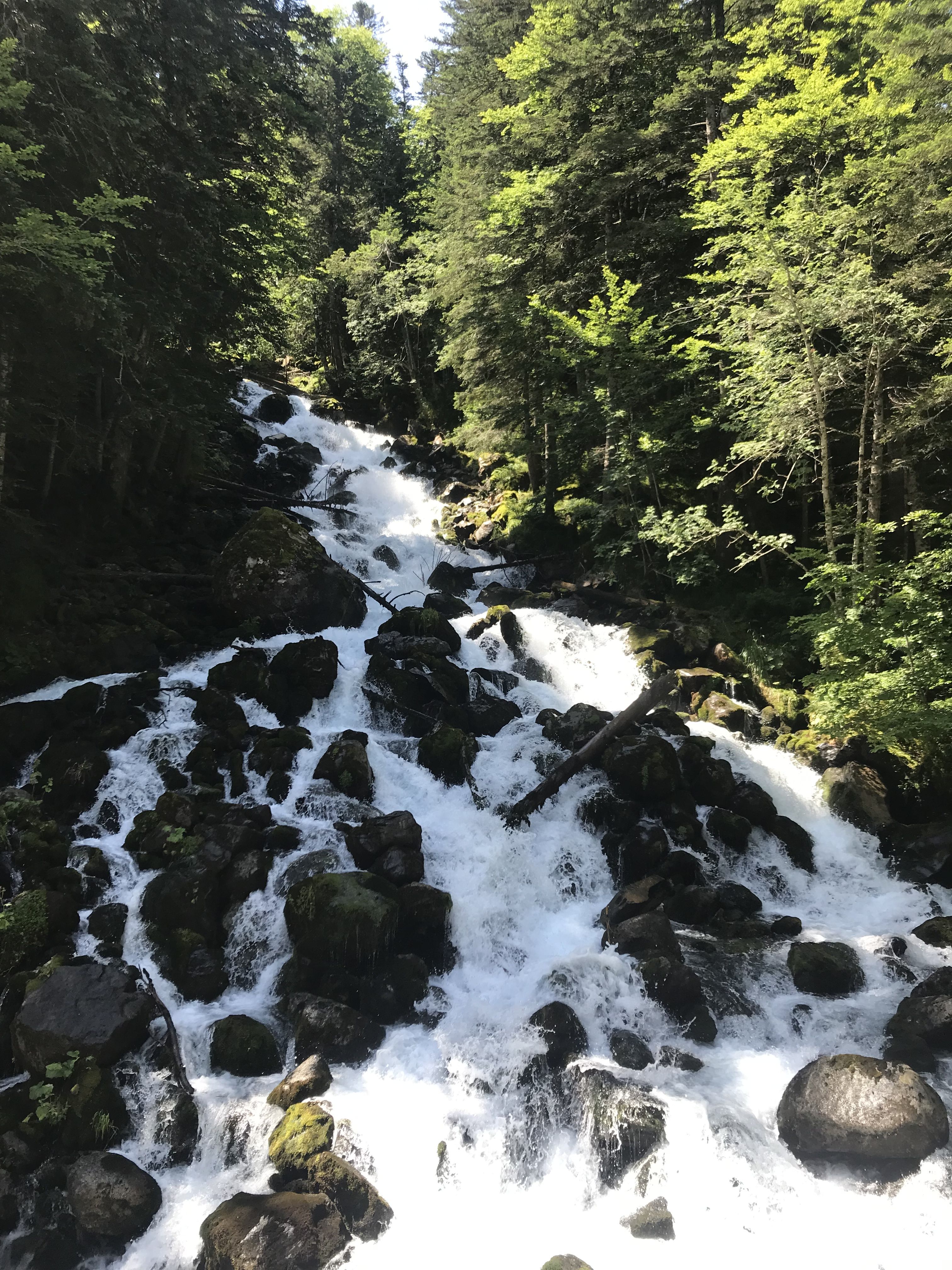 Aigua medierrània i atlàntica · Uelhs deth Joeu, Vall d’Aran FOTO: Berta Baquer Molas