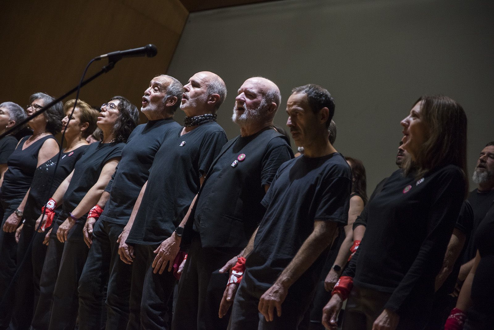 Concert solidari amb l'Alzheimer de Rock Choir. FOTO: Bernat Millet.