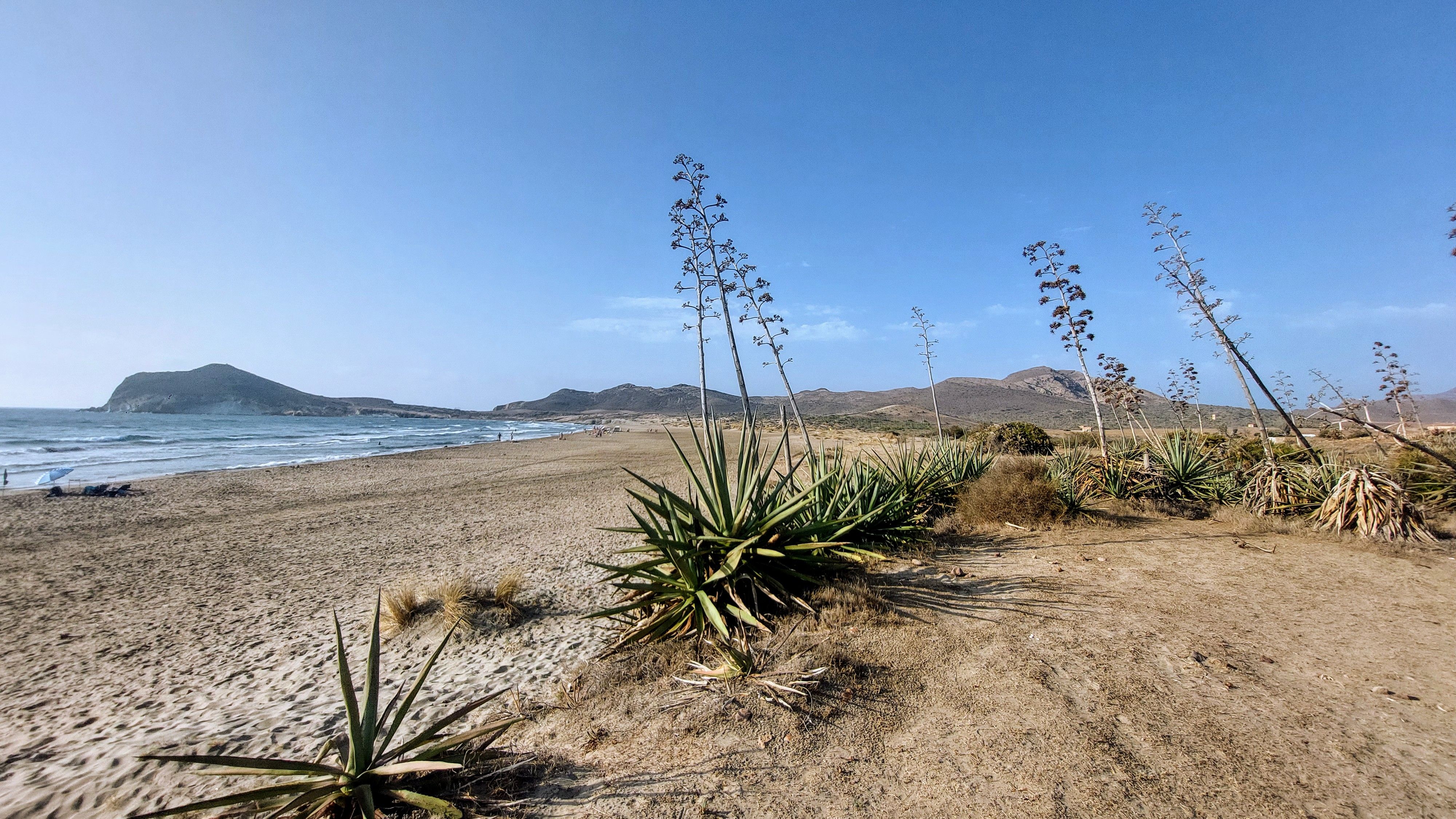 Desierto y mar · Los Genoveses , Cabo de Gata (Almería) FOTO: Francisco Cervantes