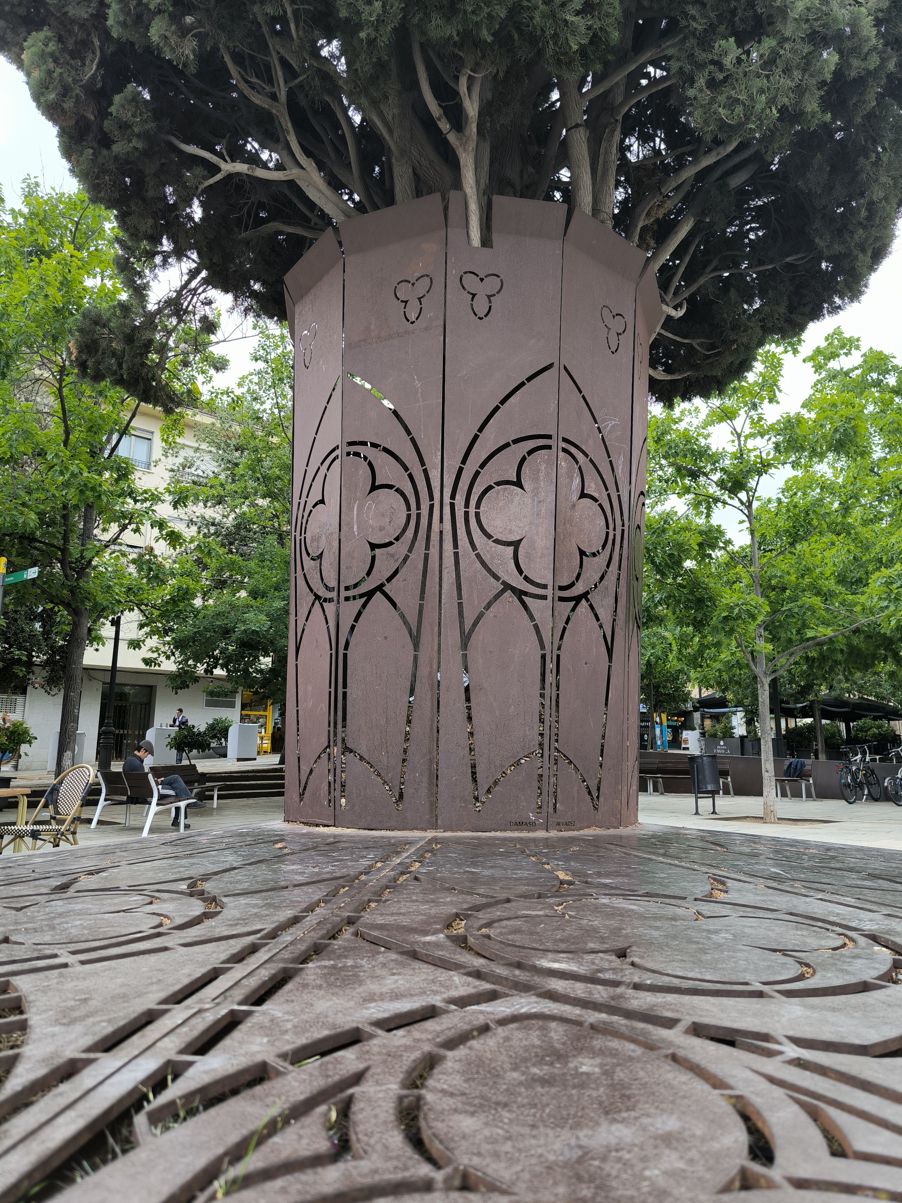 Arbre de la Plaça Octavià · Plaça Octavià, Sant Cugat del Vallès FOTO: Susana Noguera García