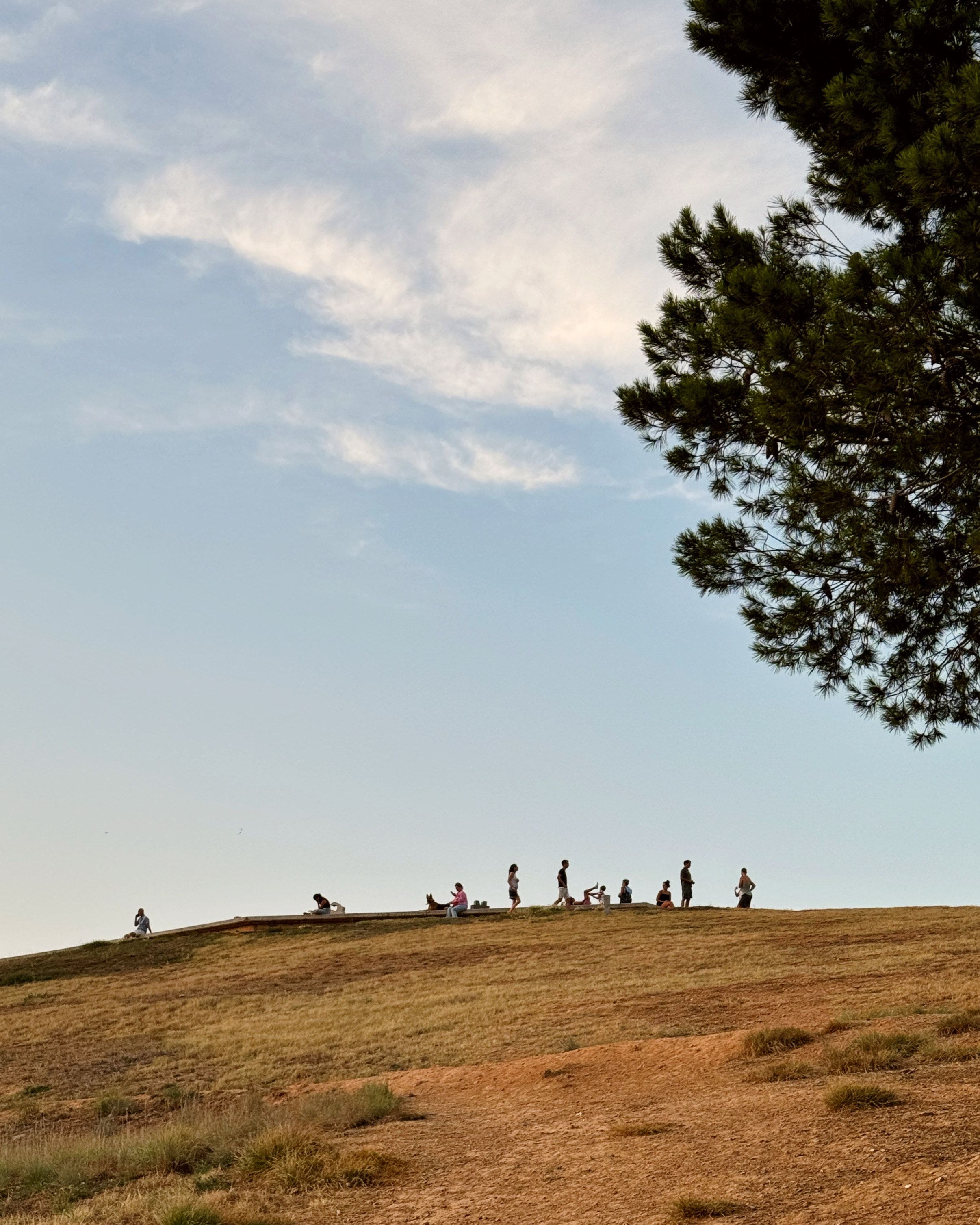 Entre el cel i la terra · Rosa de los Vientos, Sant Cugat del Vallès FOTO: Bryam González Pesantes