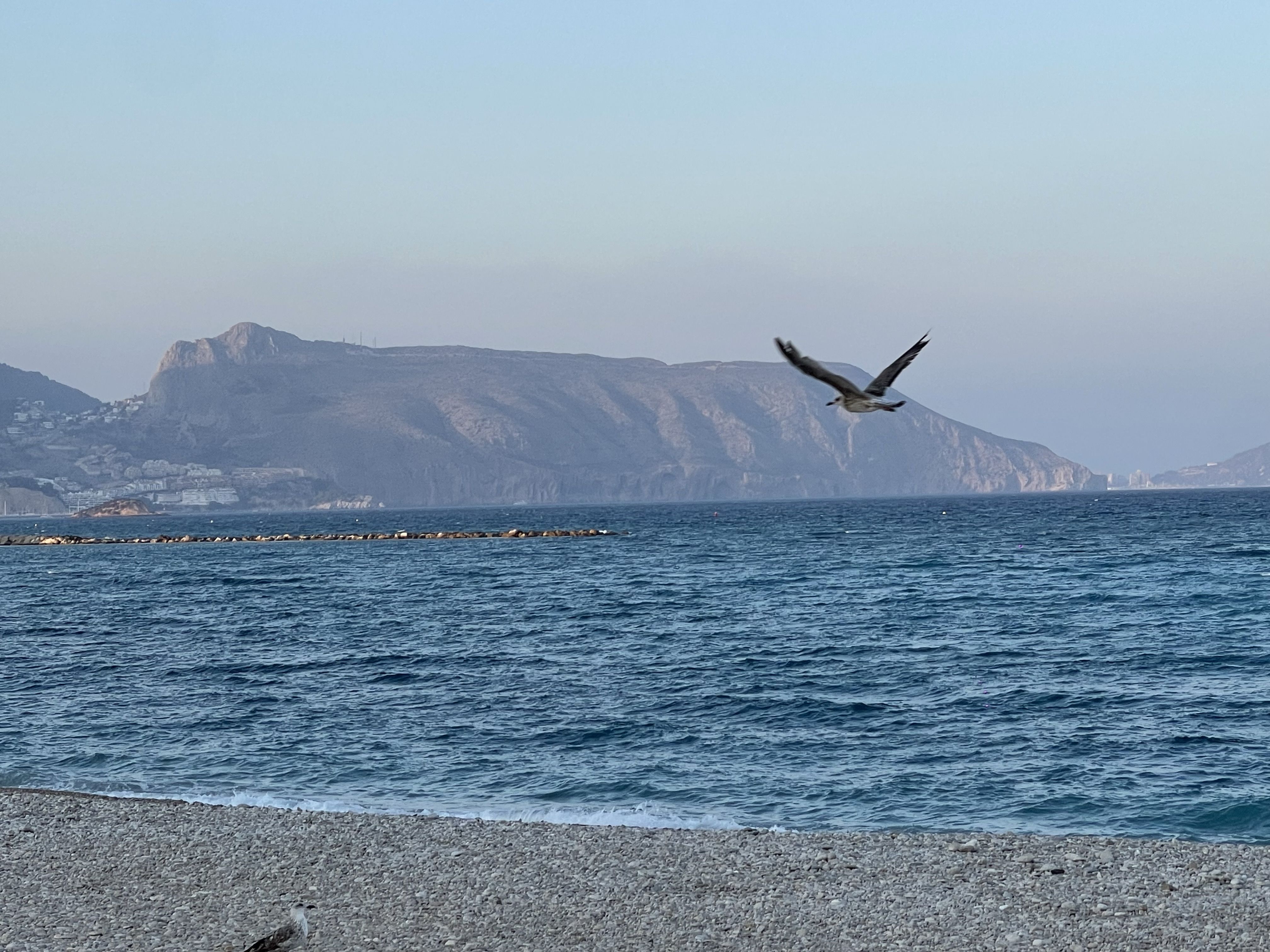 Calm · Altea FOTO: Ester Medina Sas