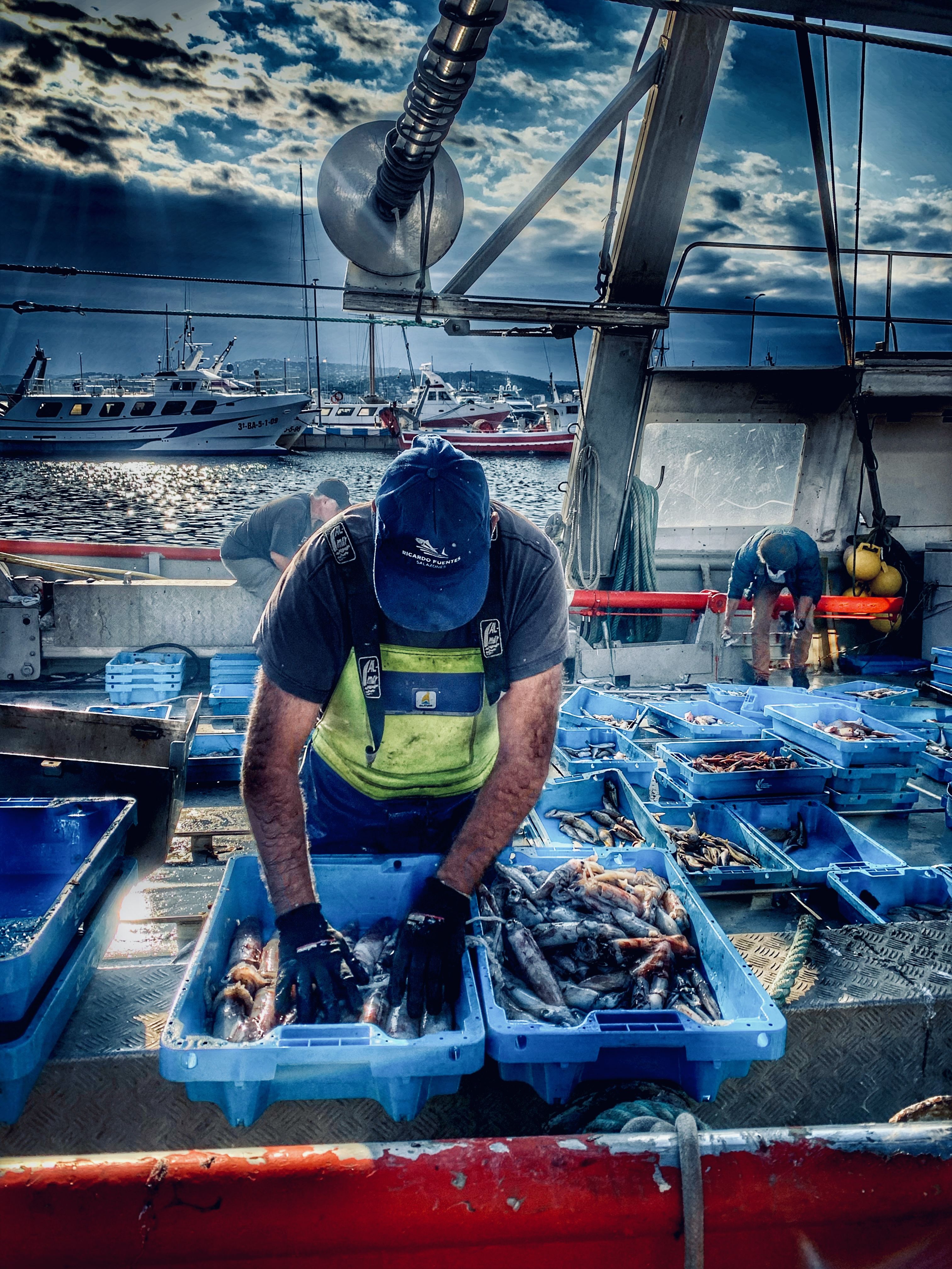 Triant la pesca · Port de Palamós FOTO: Núria Pañella Castells