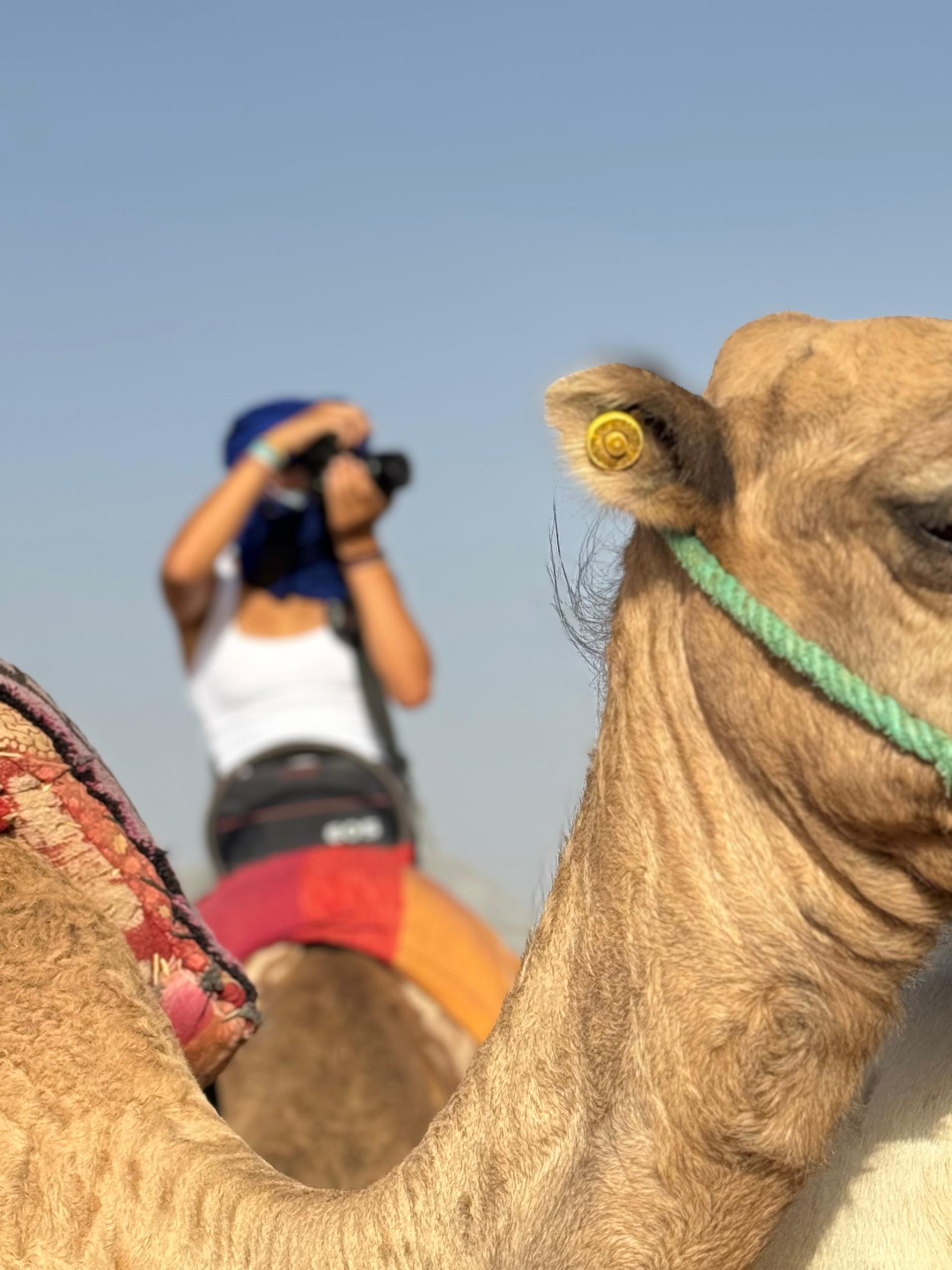 El ‘enfoque’ a través de las curvas · Desierto de Agafay Marruecos FOTO: Ainoa Álvarez Cañon