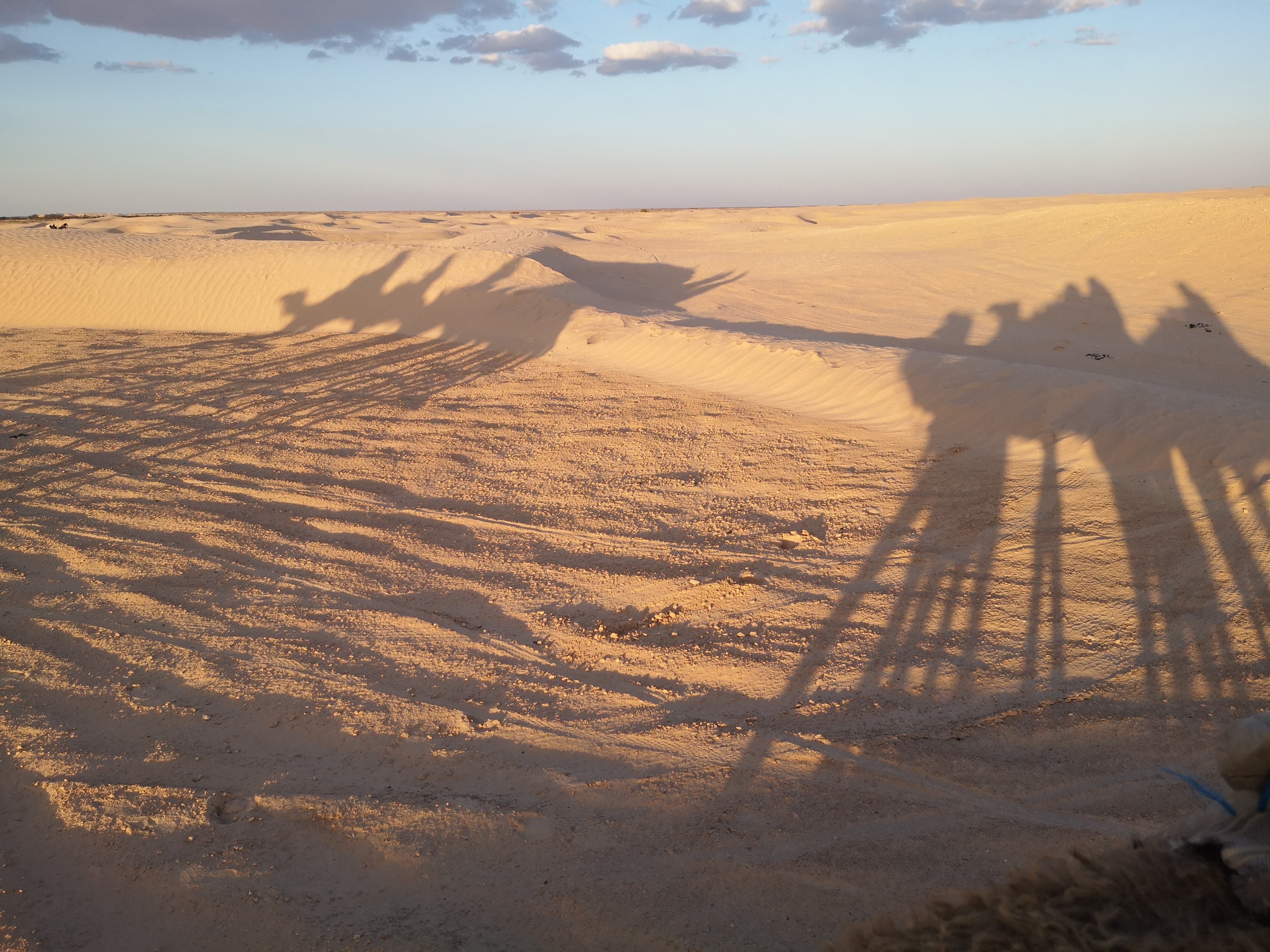 Les ombres del desert · Tunez FOTO: Dolors Rafa Martínez