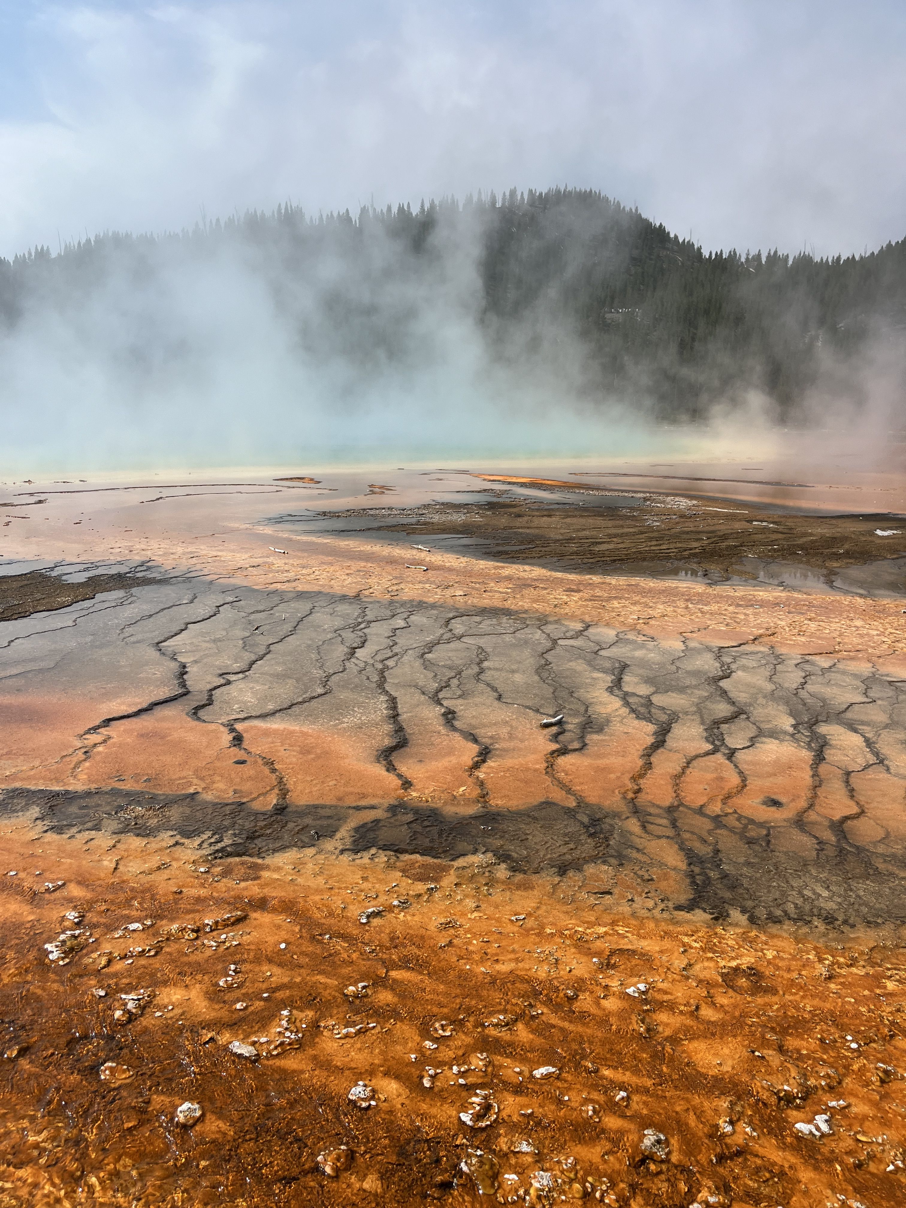 Fumaroles · Yellowstone National Park, Wyoming, USA FOTO: Elena Rodríguez Barrera