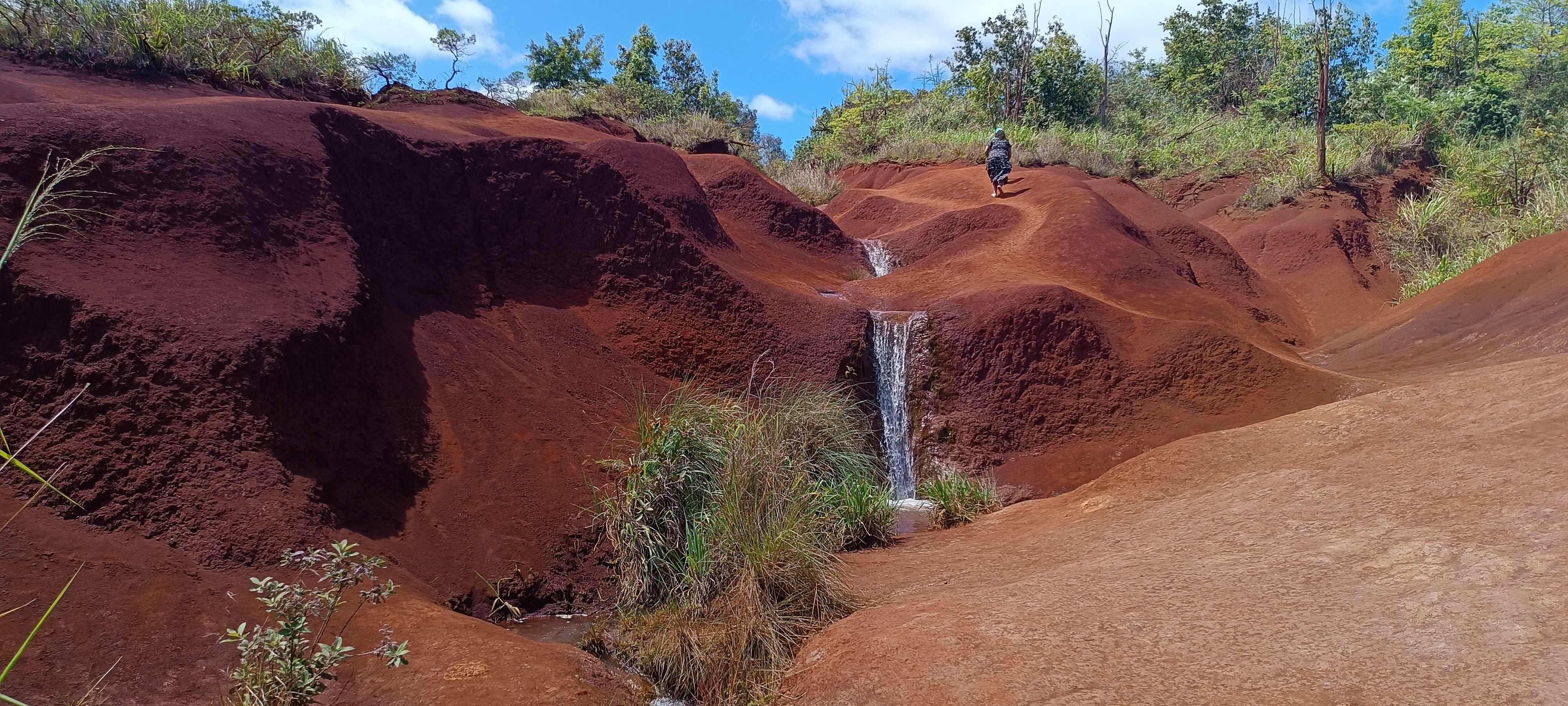 Rierol de la vall vermella · Canyó de Waimea de Maui (Hawai) FOTO: Pepa Cuberes Orteu