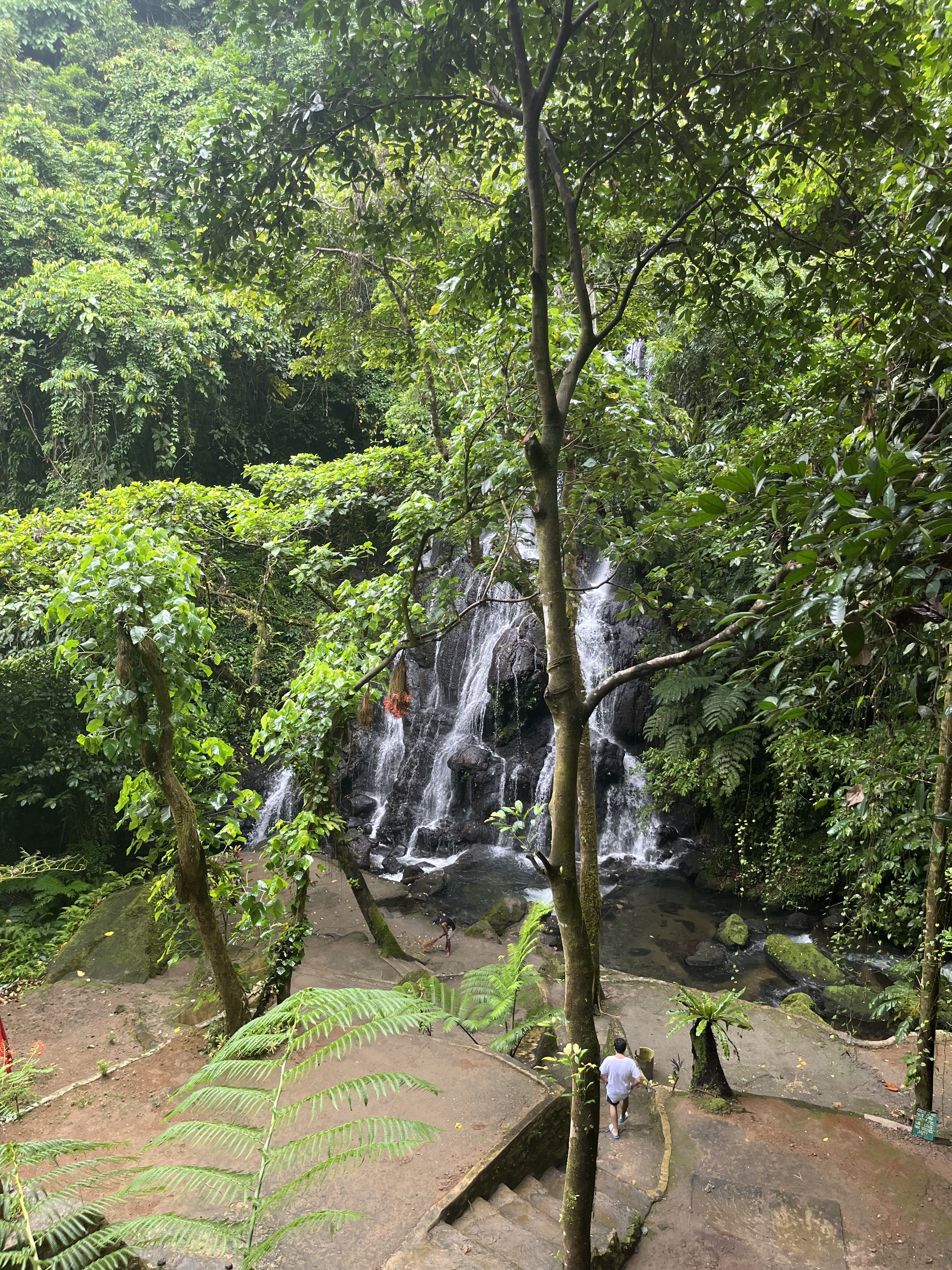 Natura · Bulusan, Filipinas FOTO: Maria Luisa Vinzon Esponera