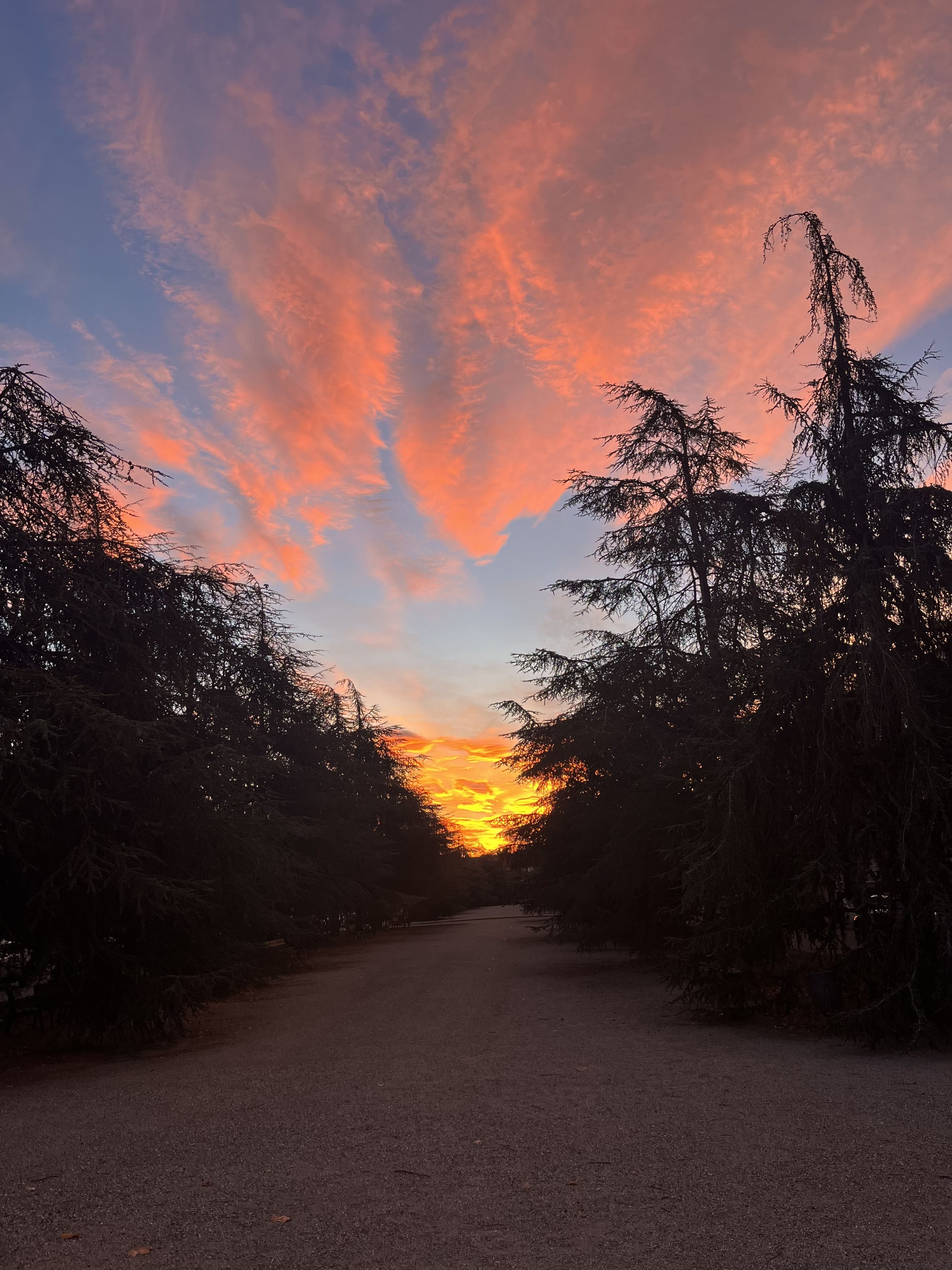 Amanecer · Sant Cugat FOTO: Maria del Mar Saiz Ruiz