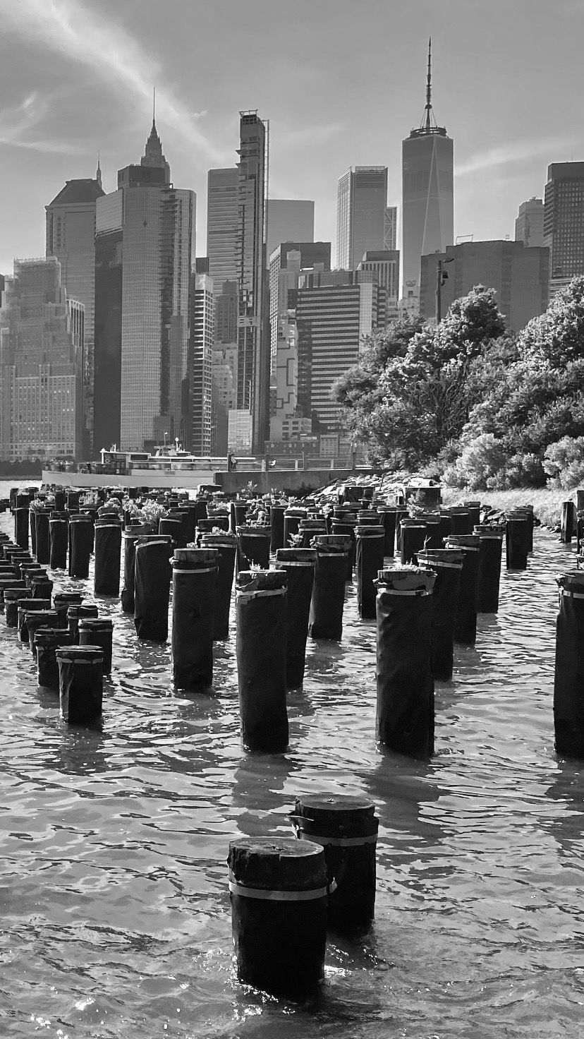 Ball de bastons · Brooklyn FOTO: Dani Redon