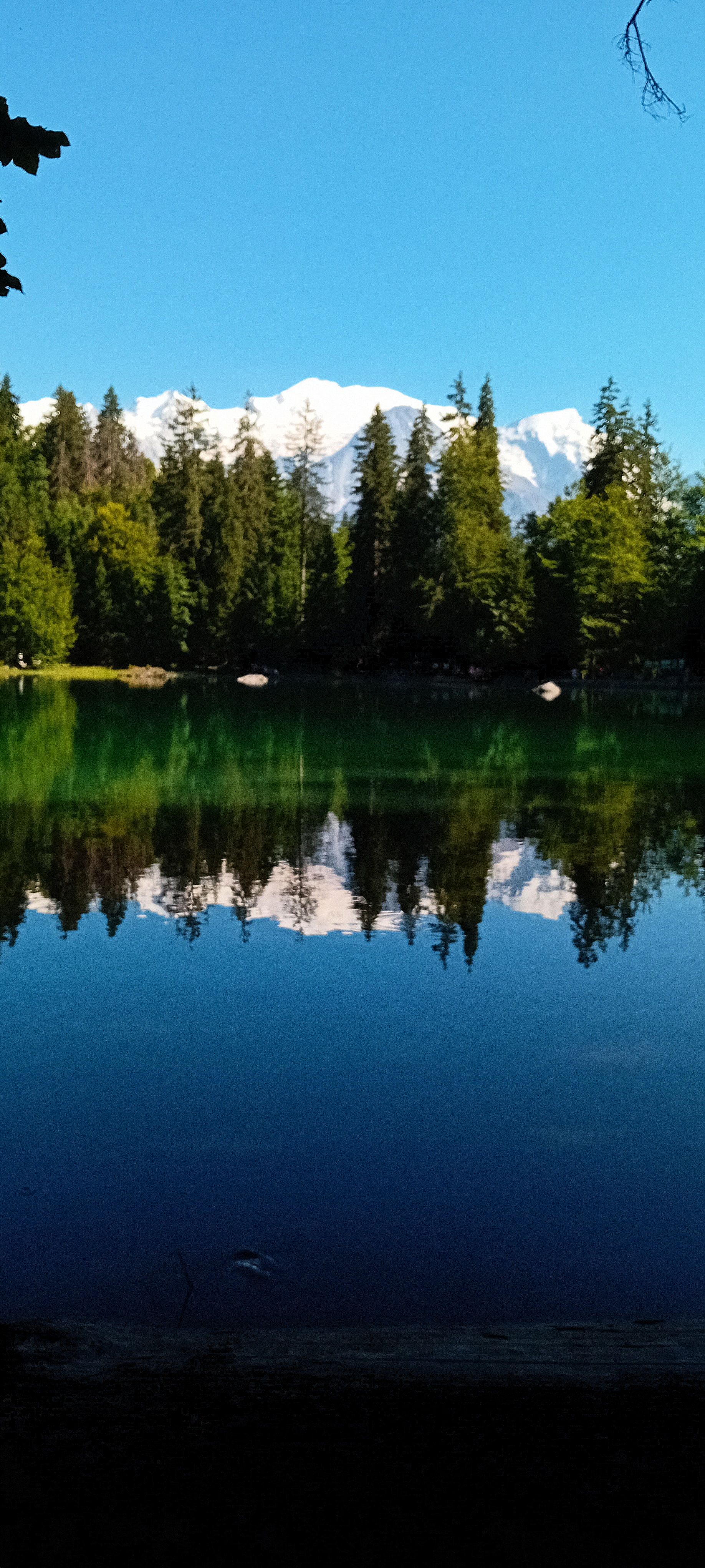 Gaudint de la natura · Le lac vert FOTO: Imma Mercadé Salavert