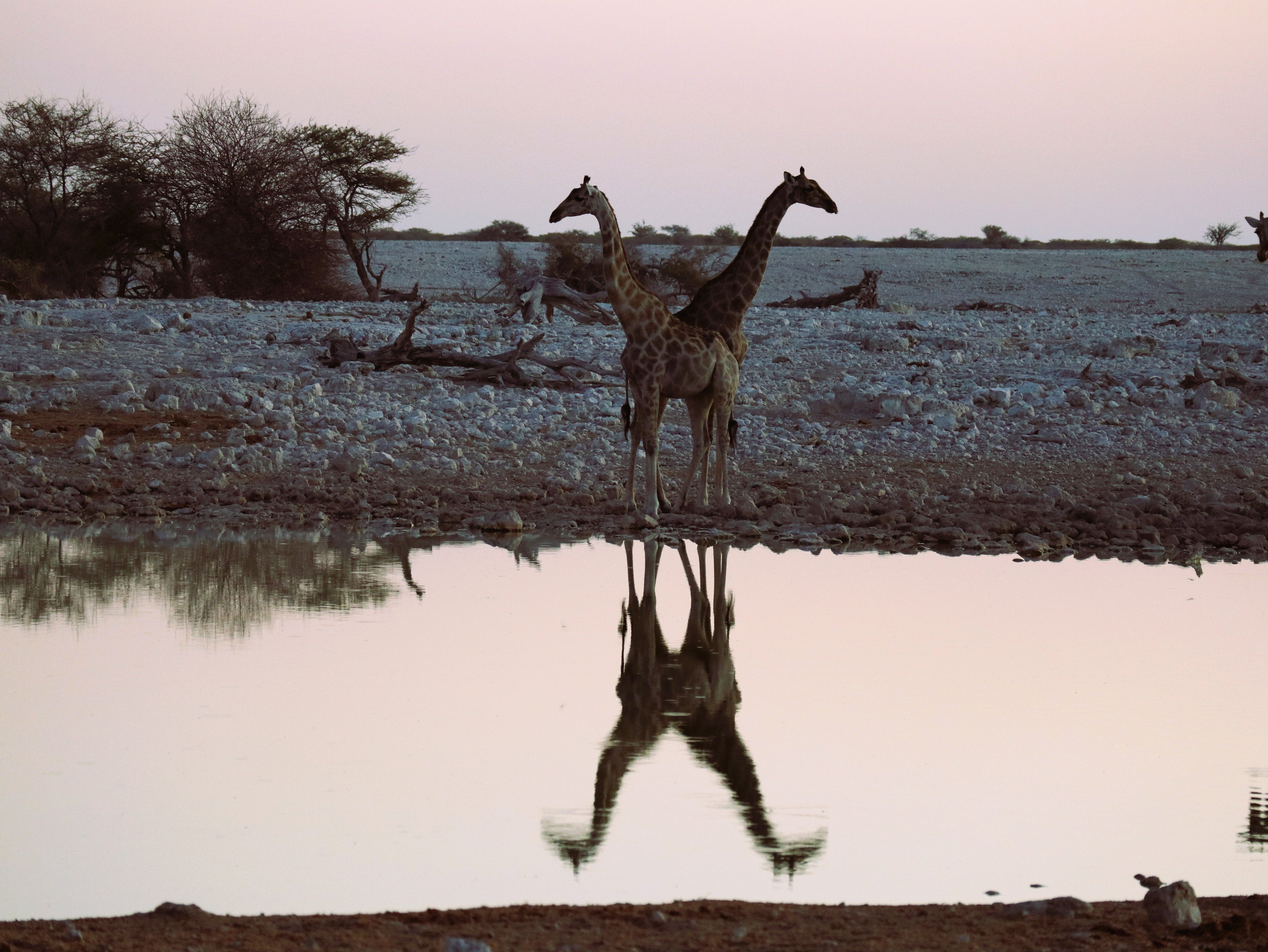 Harmonia · Namibia FOTO: Bertha Mariella 