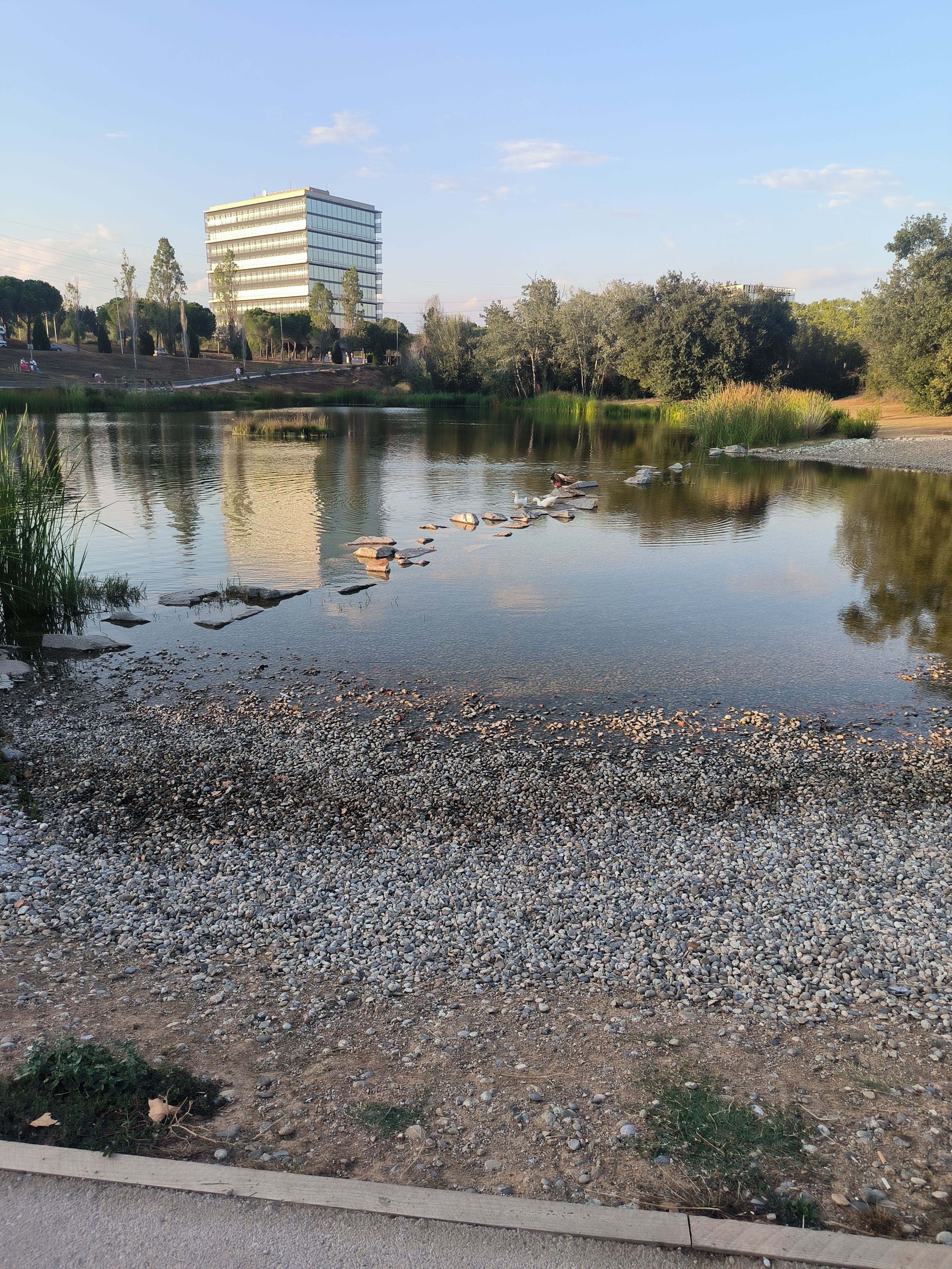 El Magic llac de las tortugues  · Llac Guinardera Sant Cugat del Vallès FOTO: Ana Doix Perez