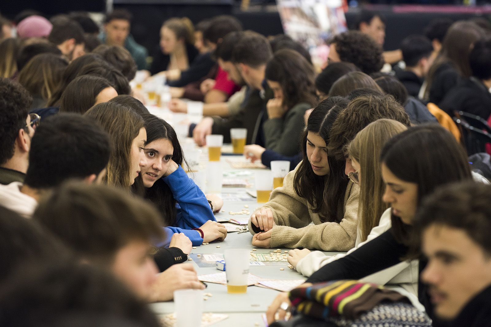 Quinto de Nadal. FOTO: Bernat Millet.