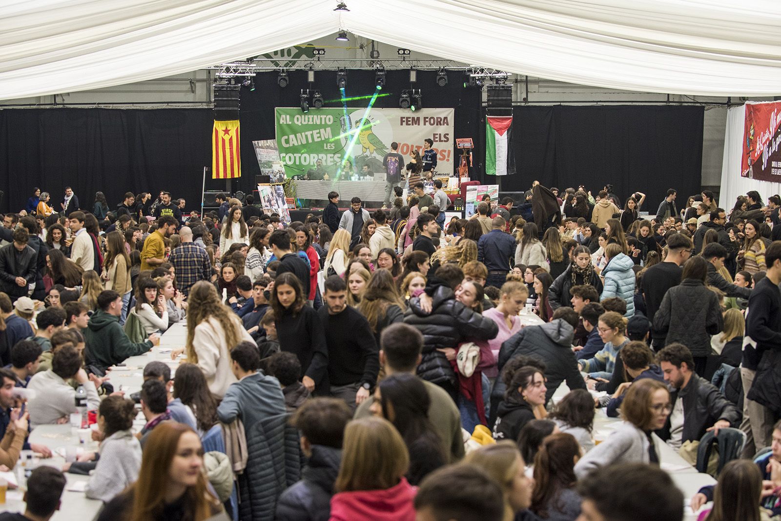 Quinto de Nadal. FOTO: Bernat Millet.