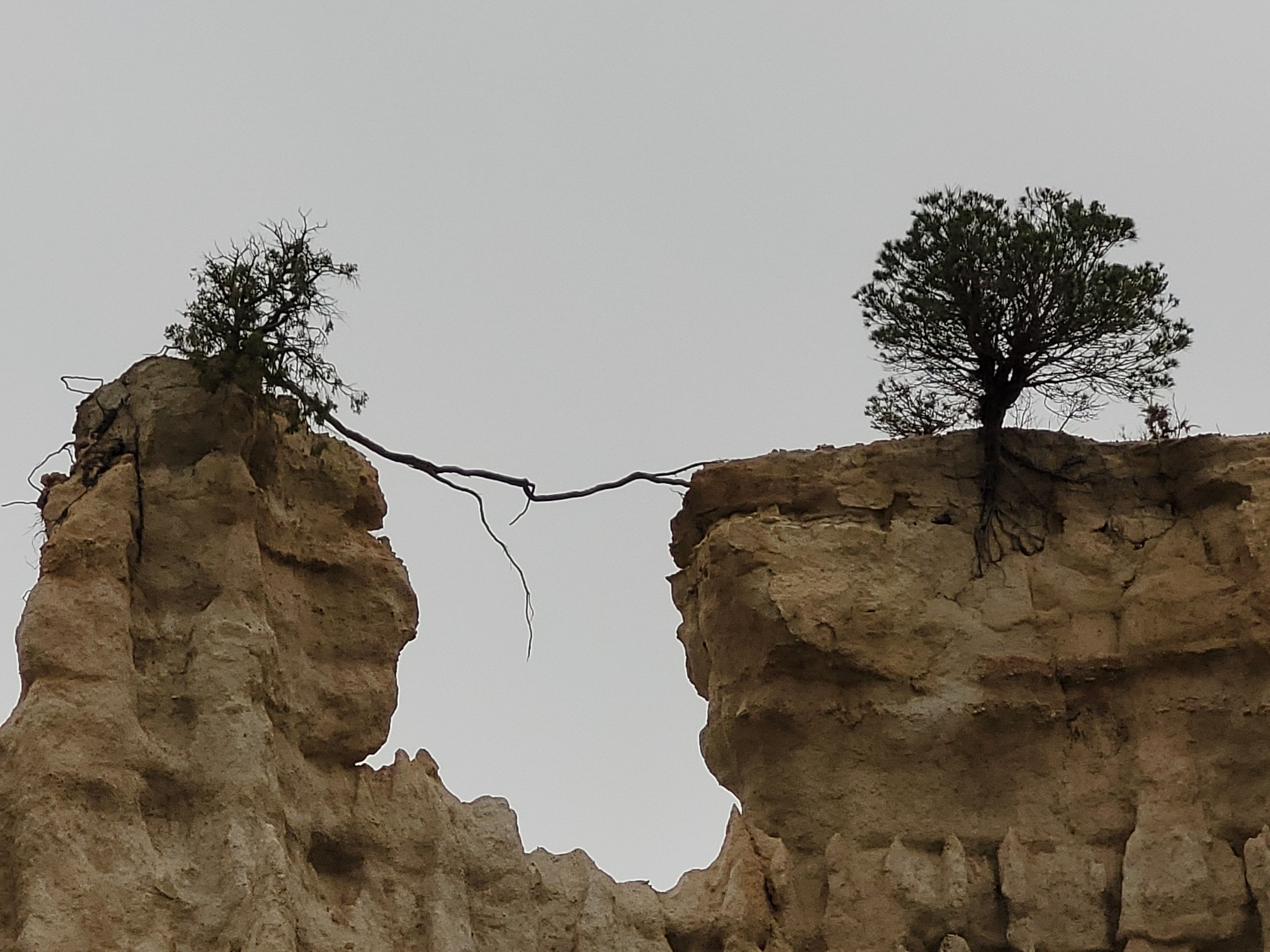 No et deixaré anar · Orges illa de Tet Perpinyà FOTO: Joan Saladie Alpiste 