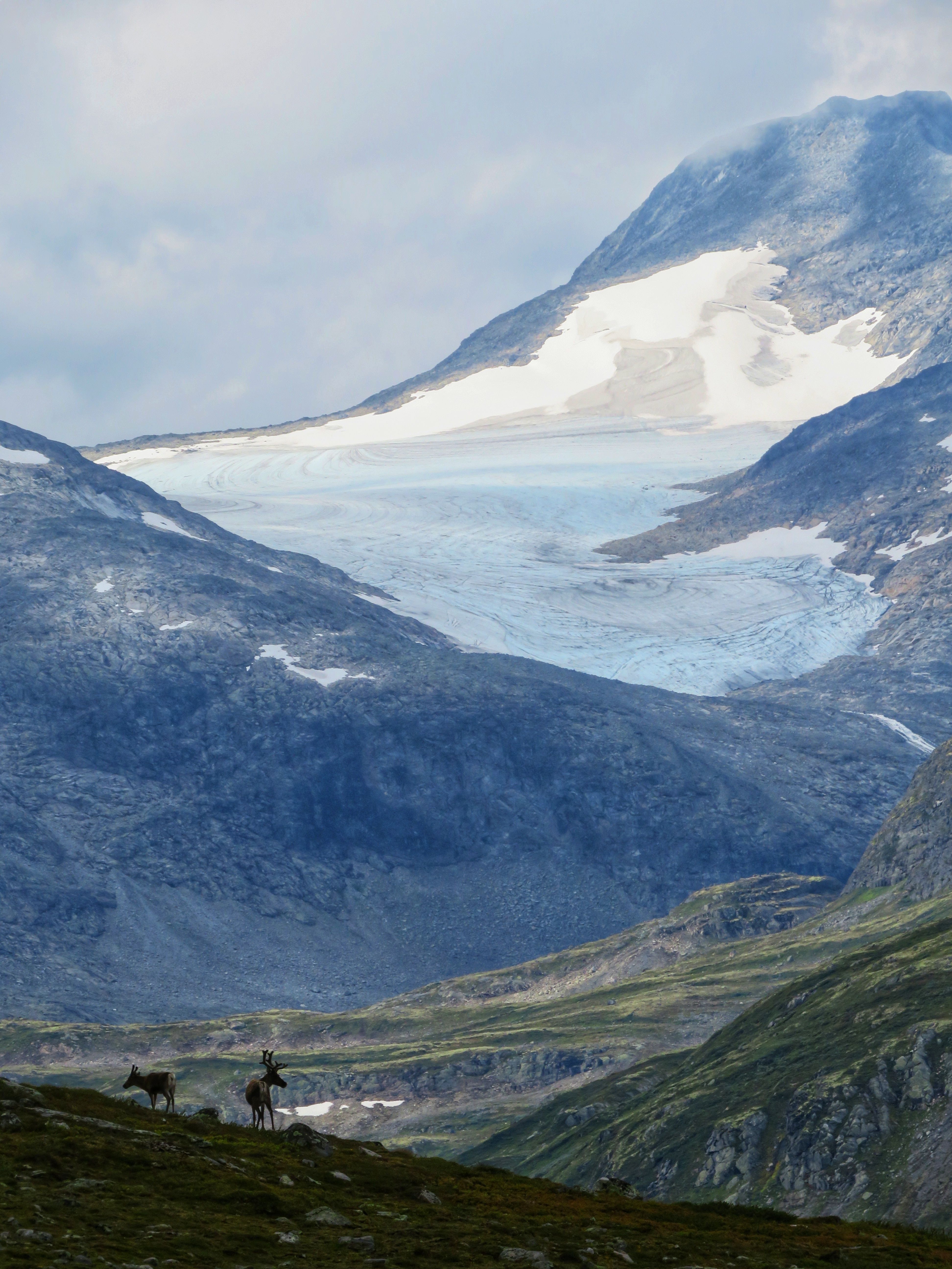 En els confins d'Escandinàvia · Parc natural de Jotunheimen (Noruega) FOTO: Artur Riba Ingles