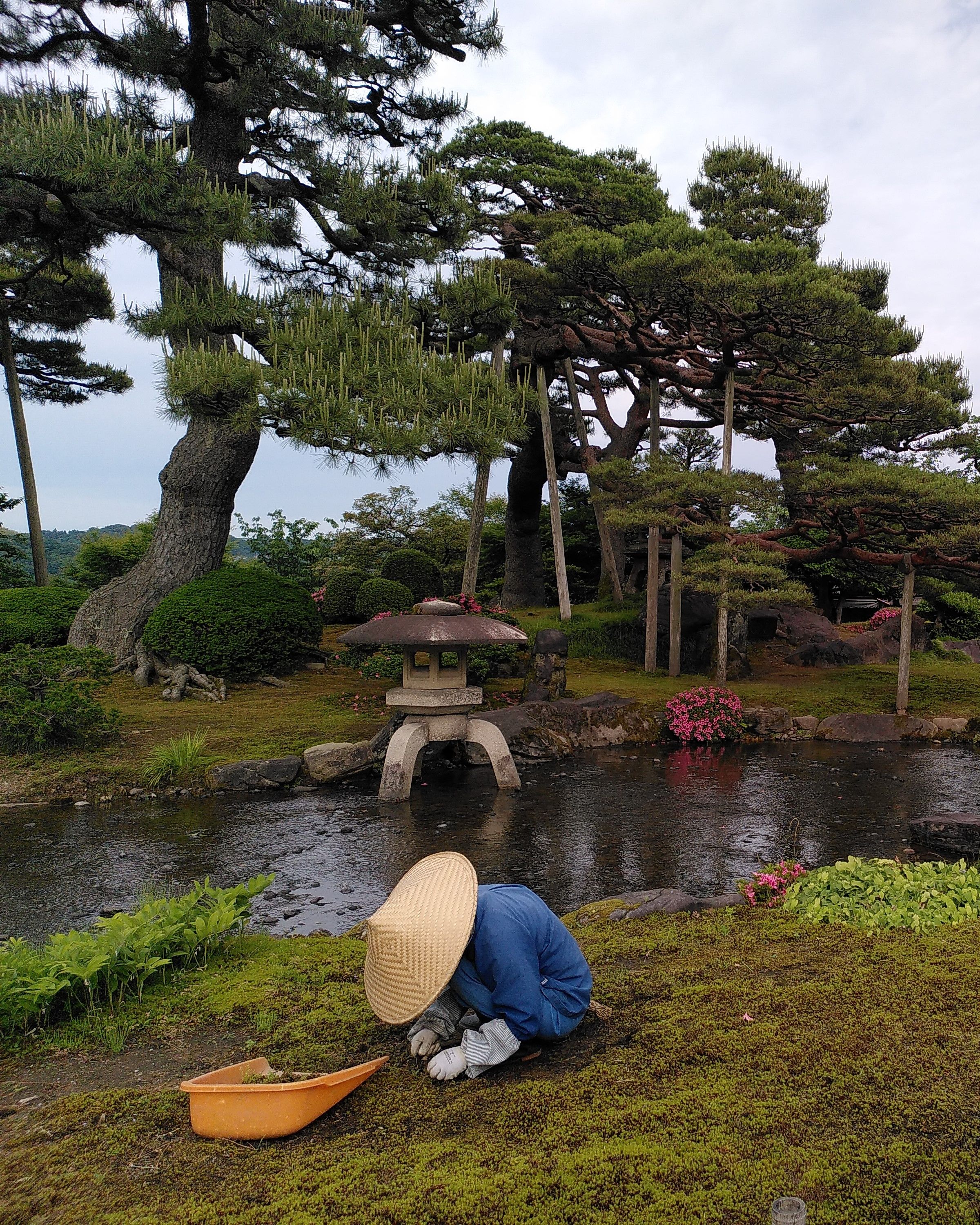 La delicadesa del jardiner · Kanazawa, Japó FOTO: Elisenda Giménez Valls