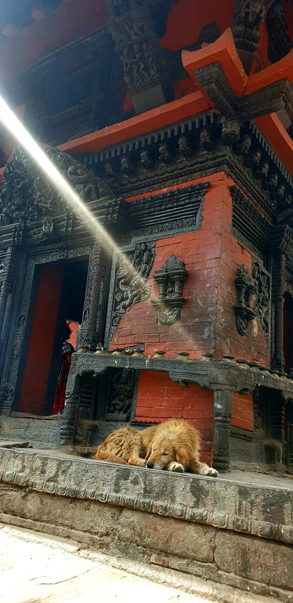 Jeep calm & Nepal dog · Pashumatiinath temple, Kathmandú, Nepal FOTO: Àngel Serrano Jiménez 