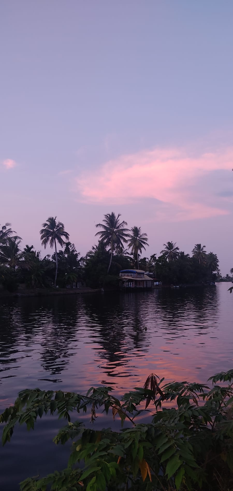 Vespre als Backwaters · Allaputzha, Kerala, India FOTO: Àngel Serrano Jiménez 