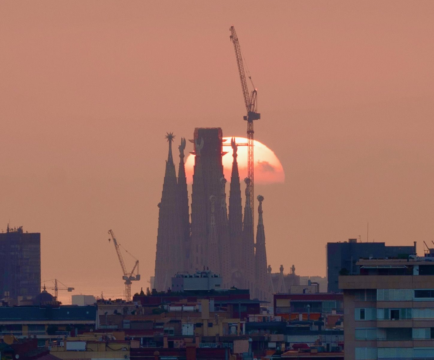 Dia en construcció · Barcelona FOTO: Júlia Bou Fusté