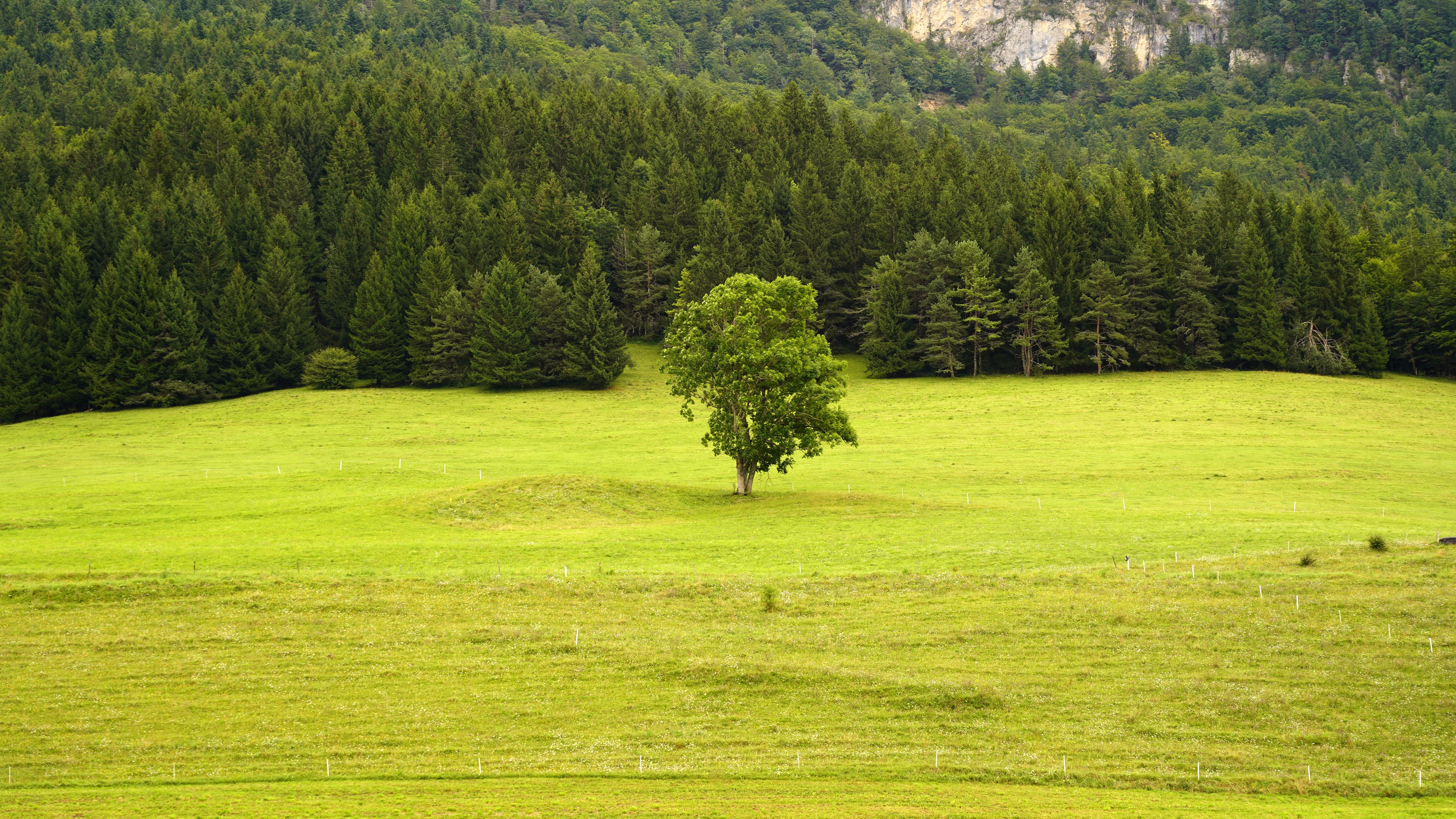 Verd infinit · Vercors, Grenoble, France FOTO: Quino Hernandez