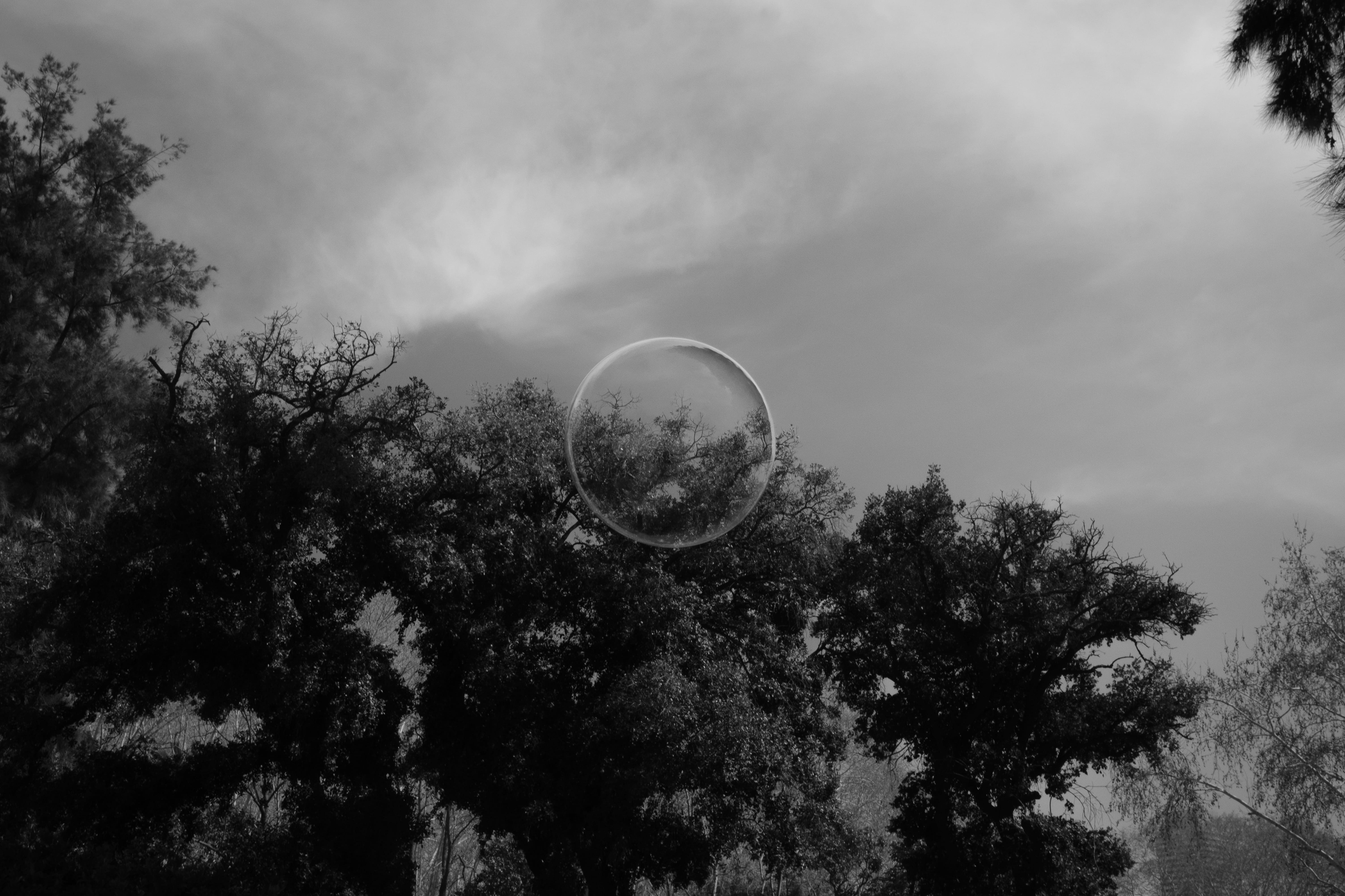 Fràgil · Parc de la Ciutadella, Barcelona FOTO: Natàlia Martin Garcia